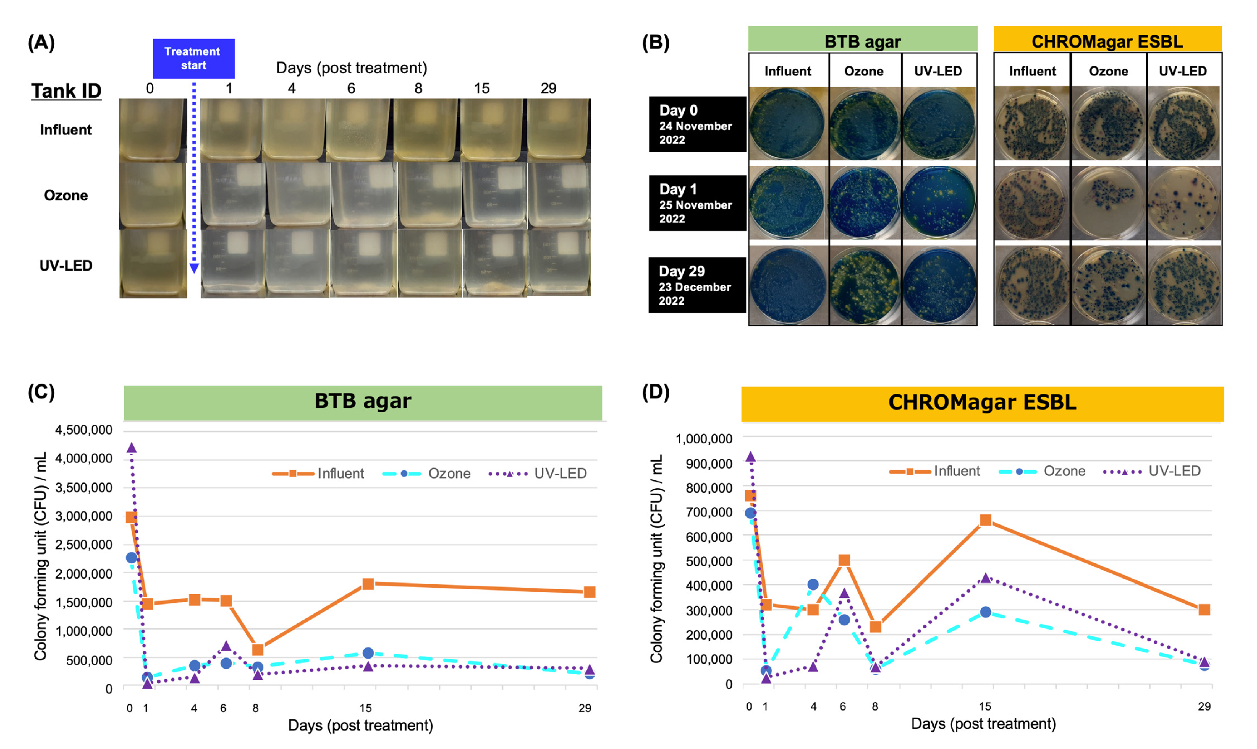 Antibiotics 12 00932 g002