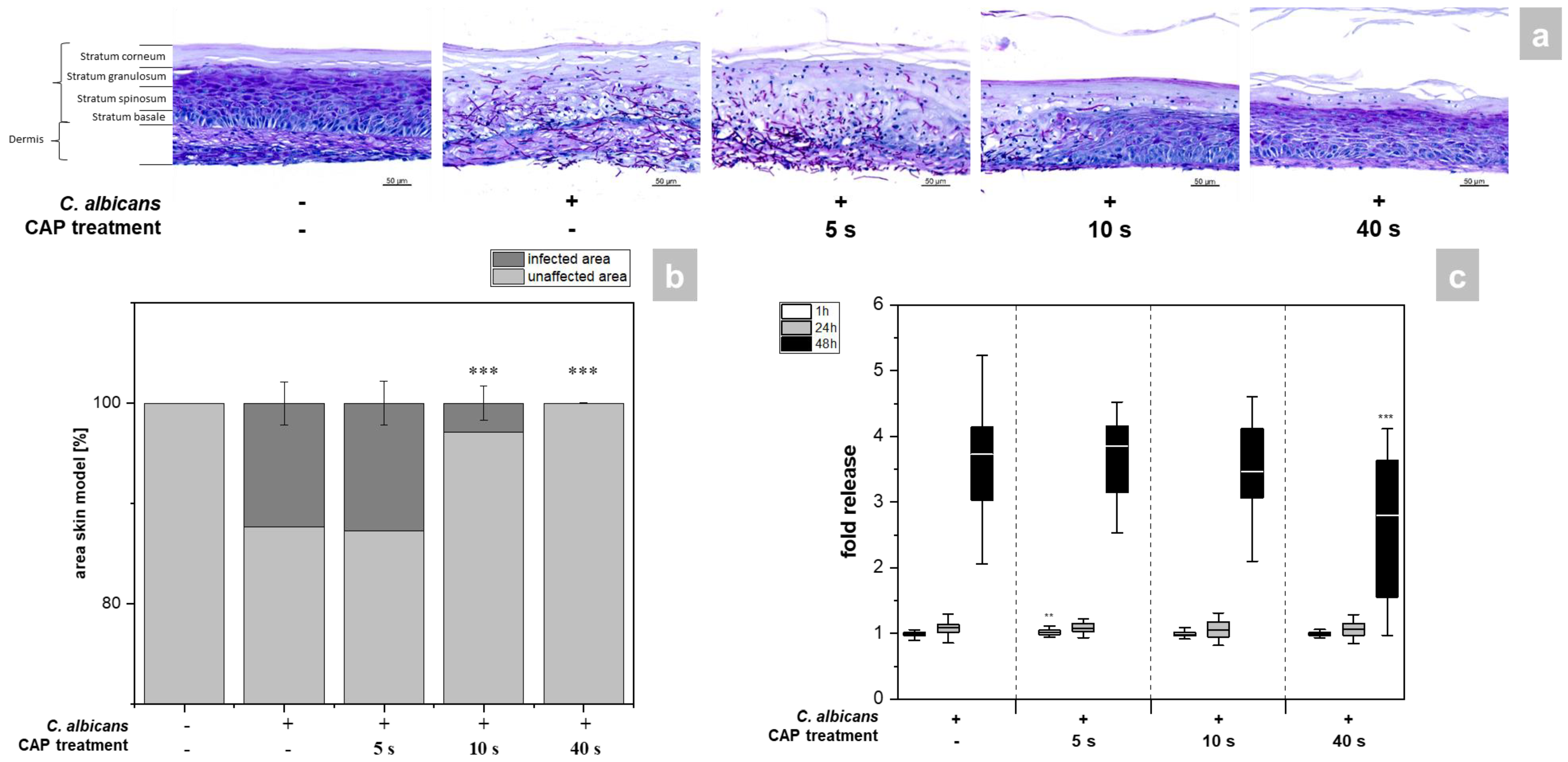 Antibiotics 12 00933 g002