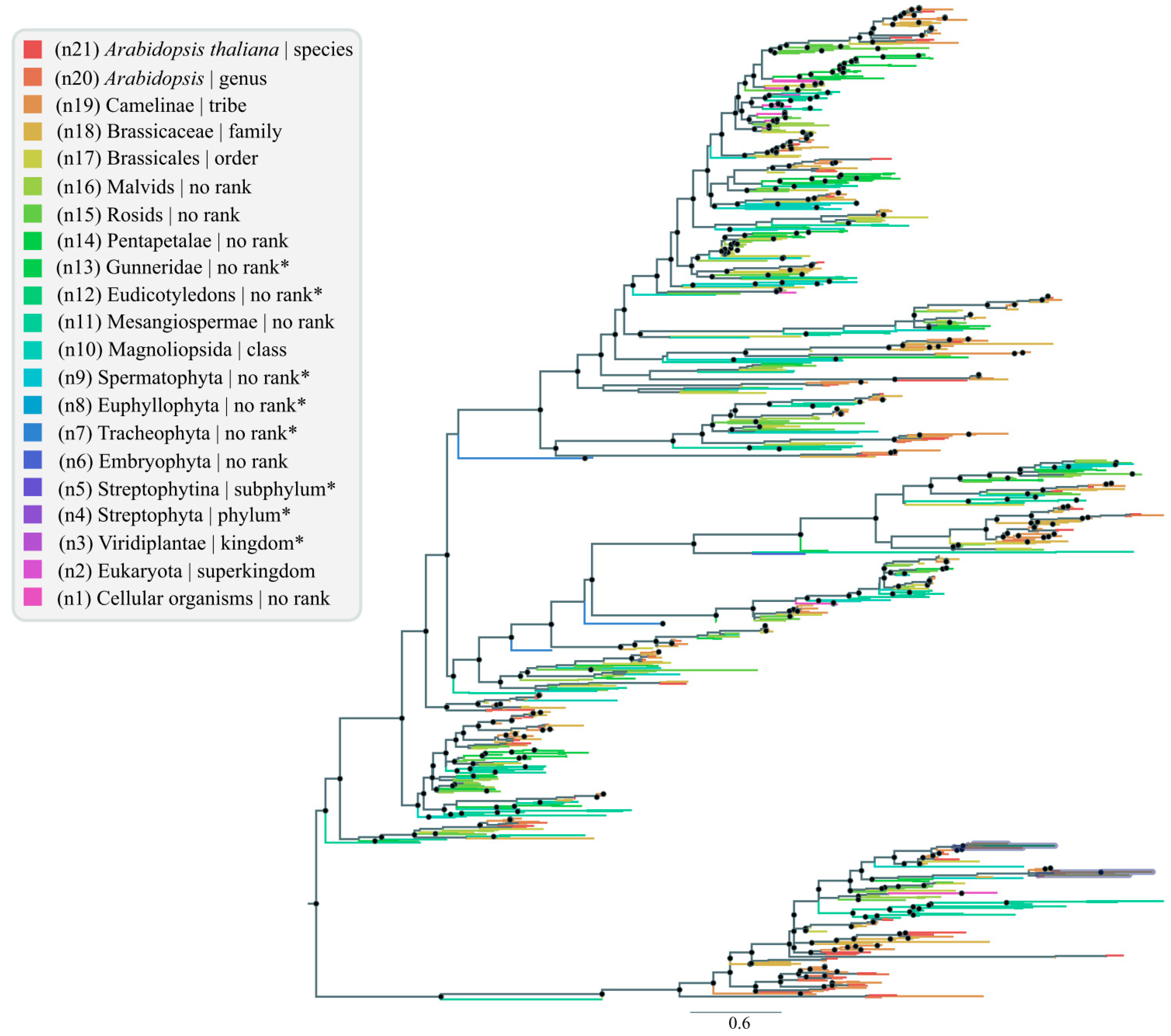Antibiotics 12 00939 g003