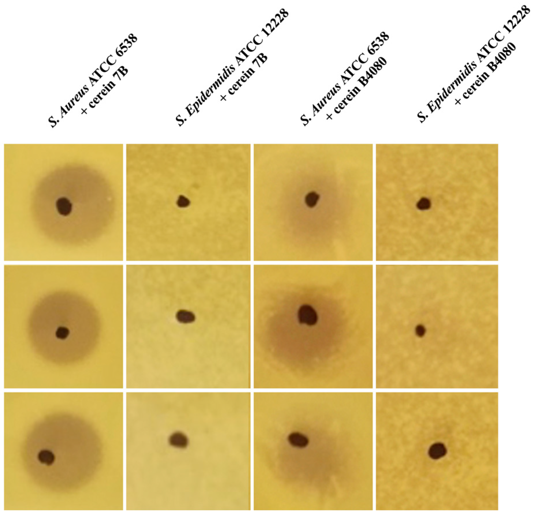Antibiotics 12 00947 g001
