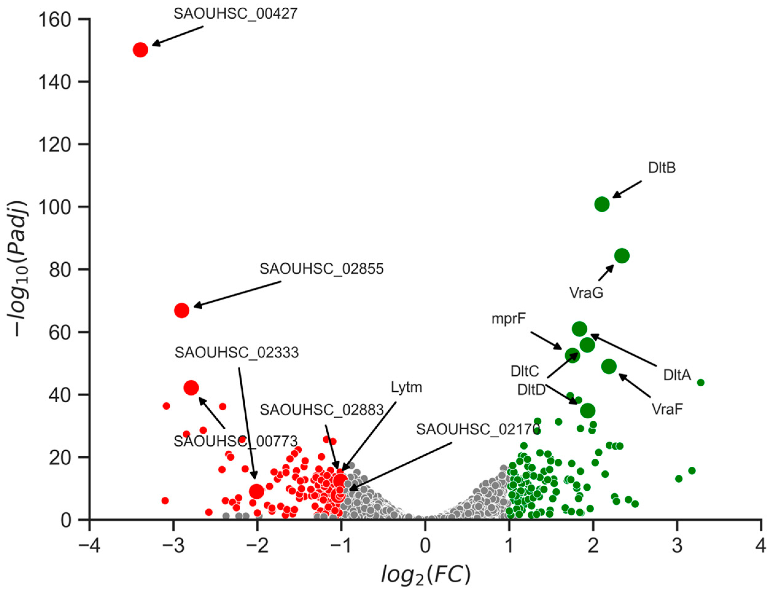 Antibiotics 12 00947 g007