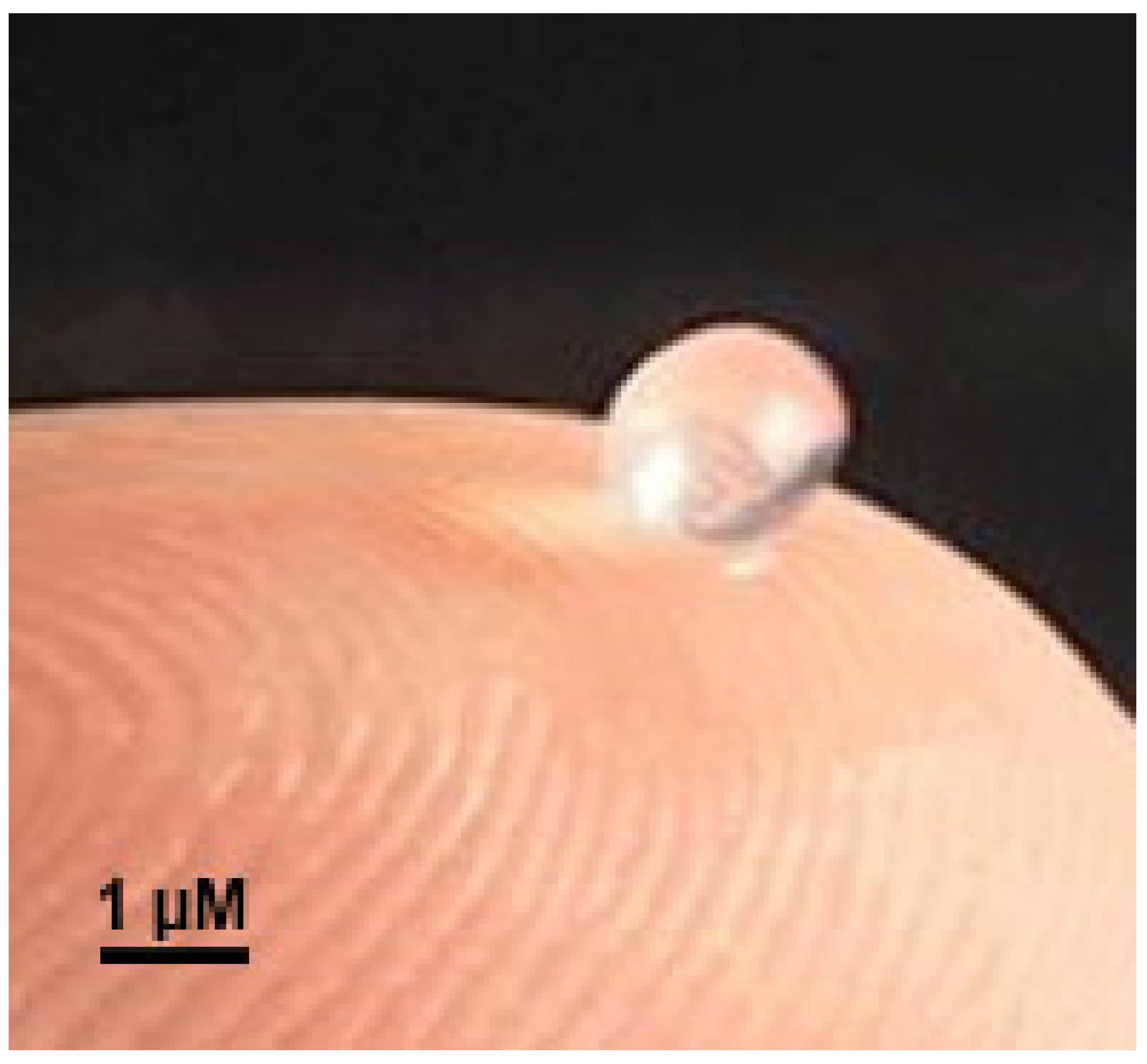 Antibiotics 12 00988 g008 Antibiotics 12 00988 g008