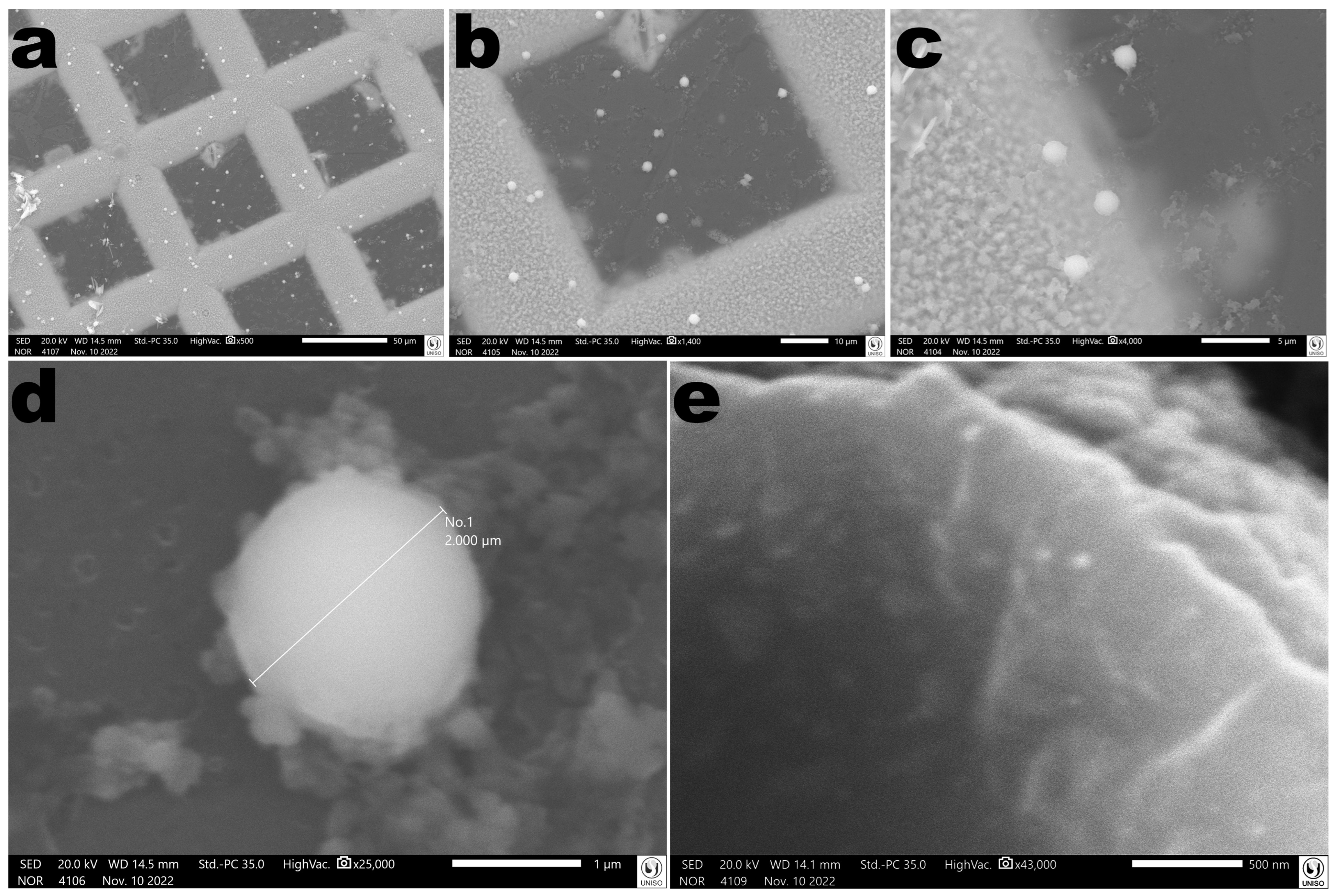 Antibiotics 12 00988 g017 Antibiotics 12 00988 g017