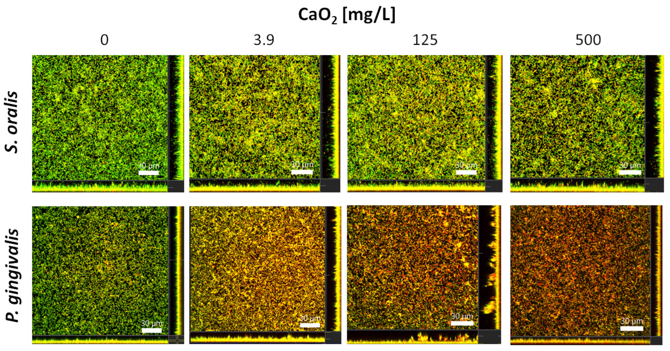 Antibiotics 12 00990 g004