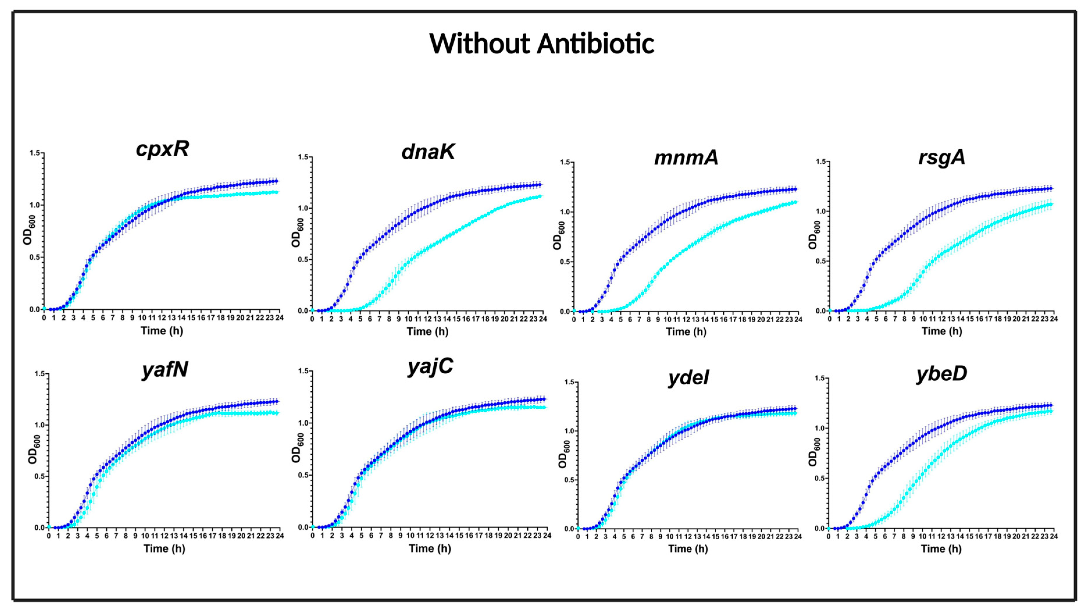 Antibiotics 12 00993 g003