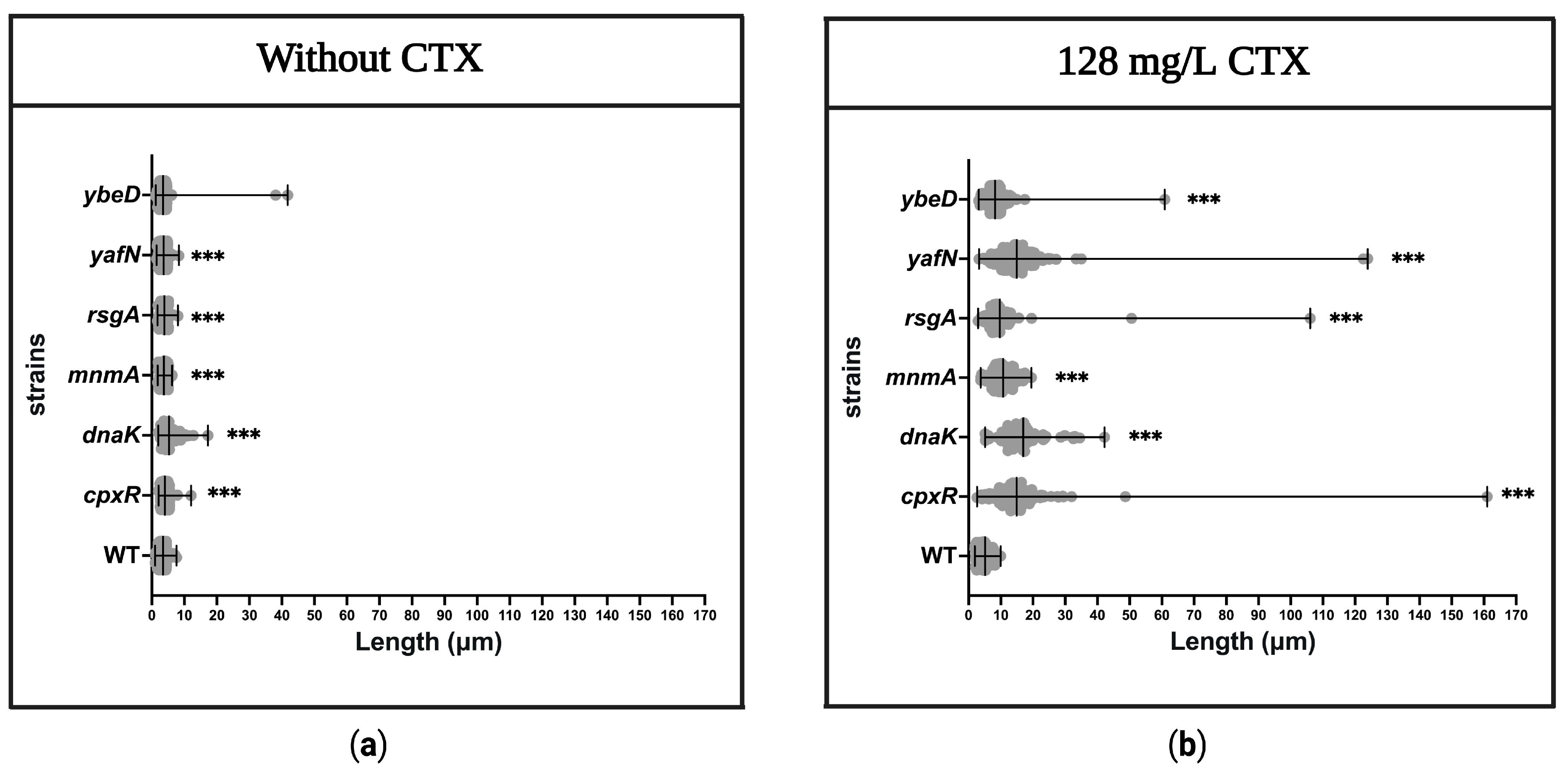 Antibiotics 12 00993 g006
