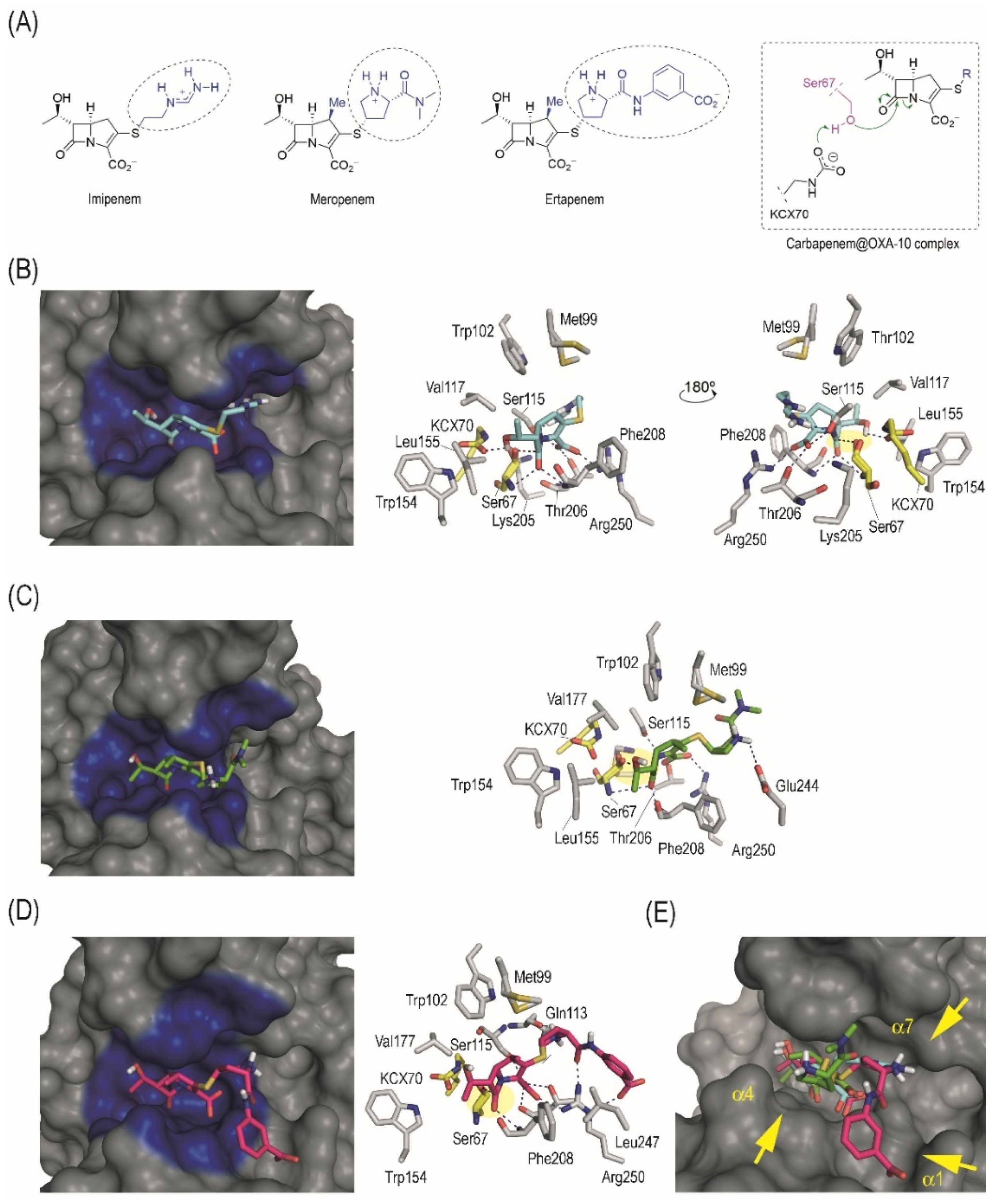 Antibiotics 12 00999 g001