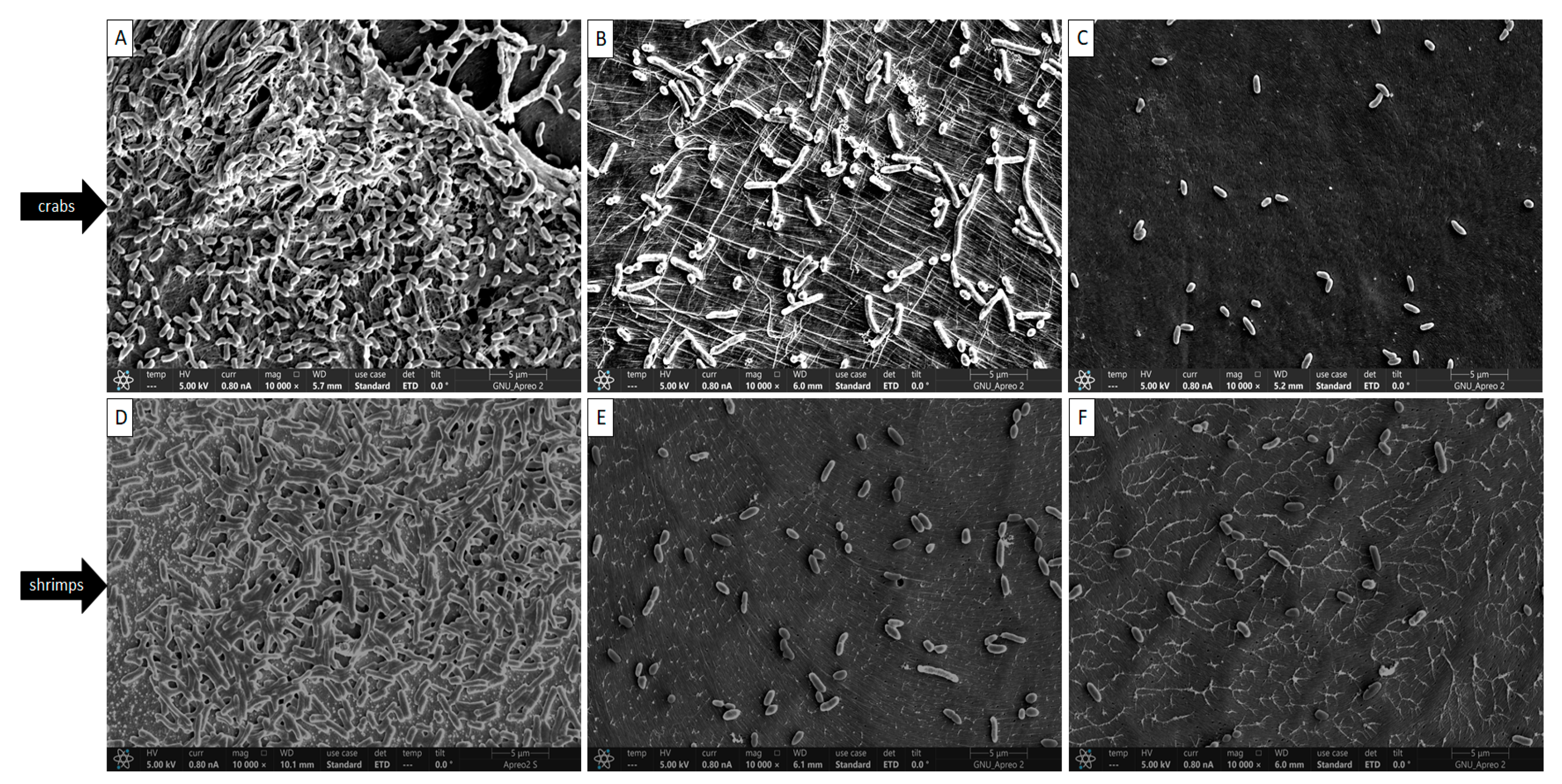 Antibiotics 12 01008 g003