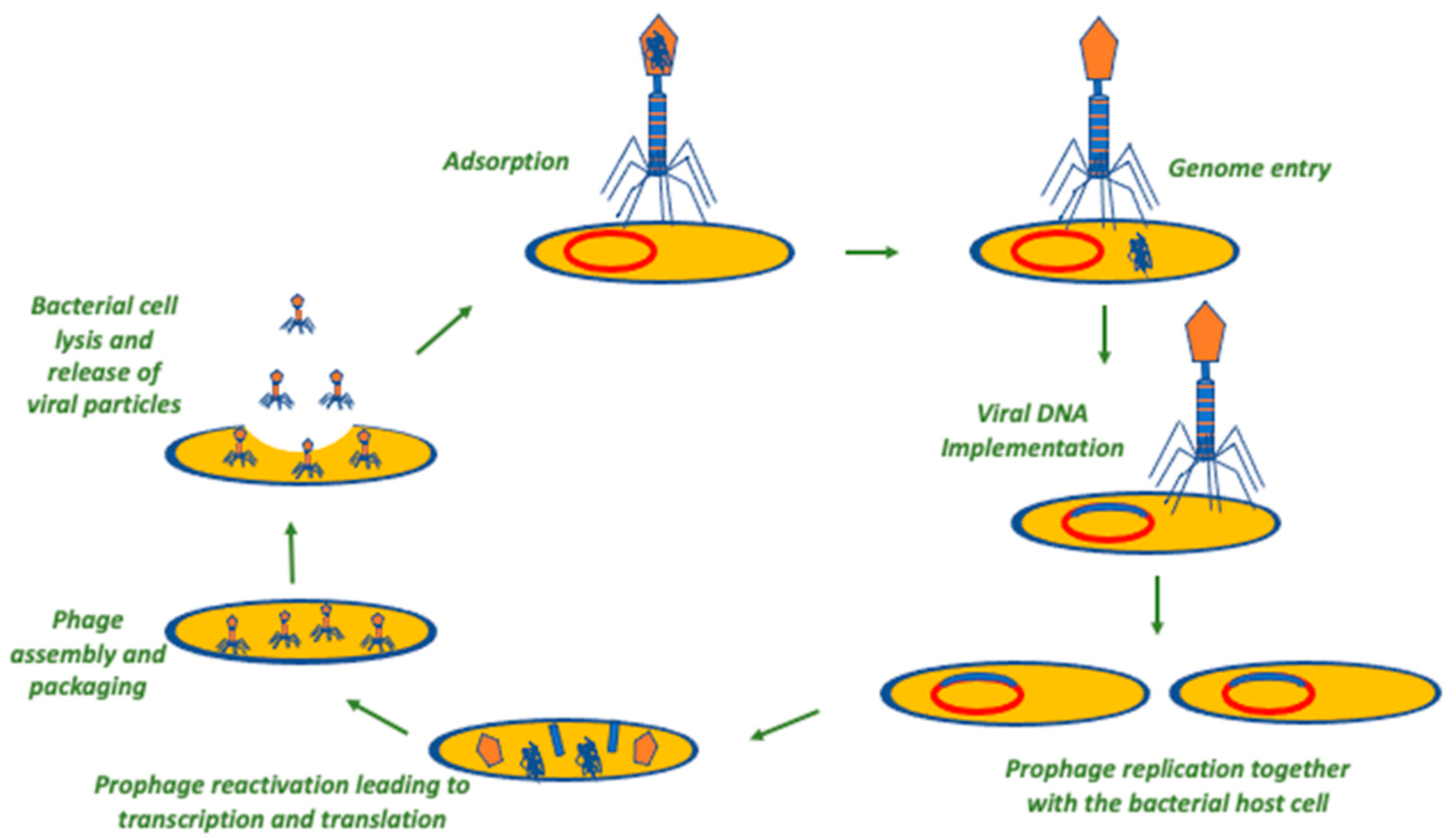 Antibiotics 12 01012 g002