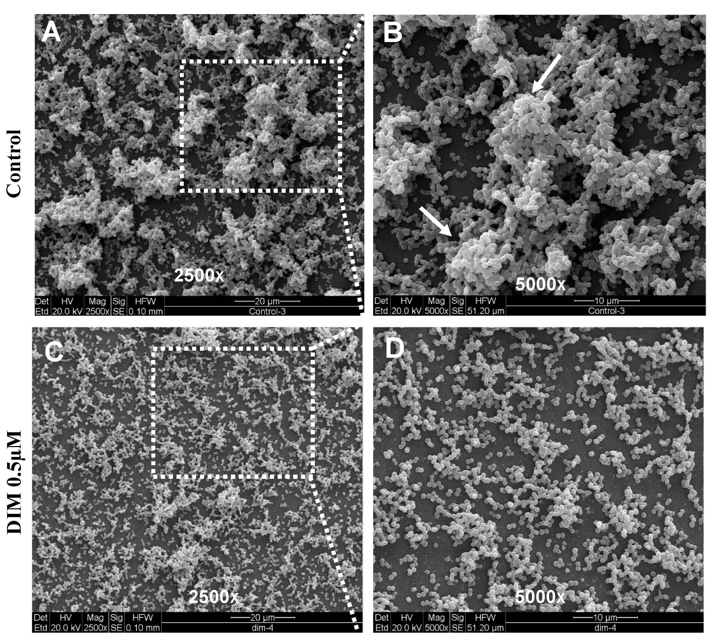 Antibiotics 12 01017 g002