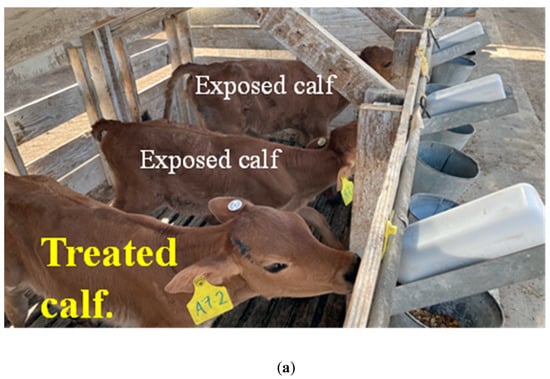 Antibiotics 12 01019 g0a1a