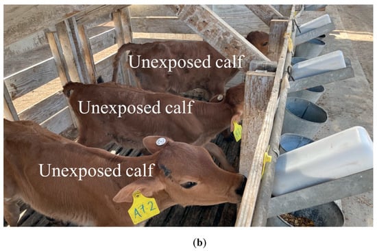 Antibiotics 12 01019 g0a1b