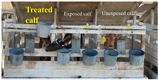 Antibiotics 12 01019 g0a2