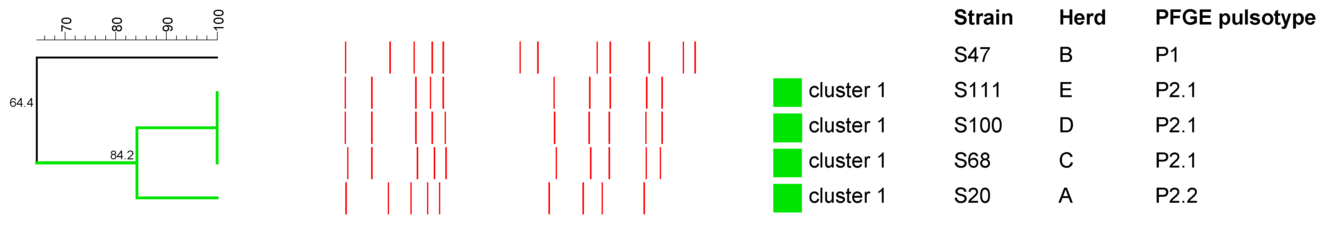 Antibiotics 12 01026 g001