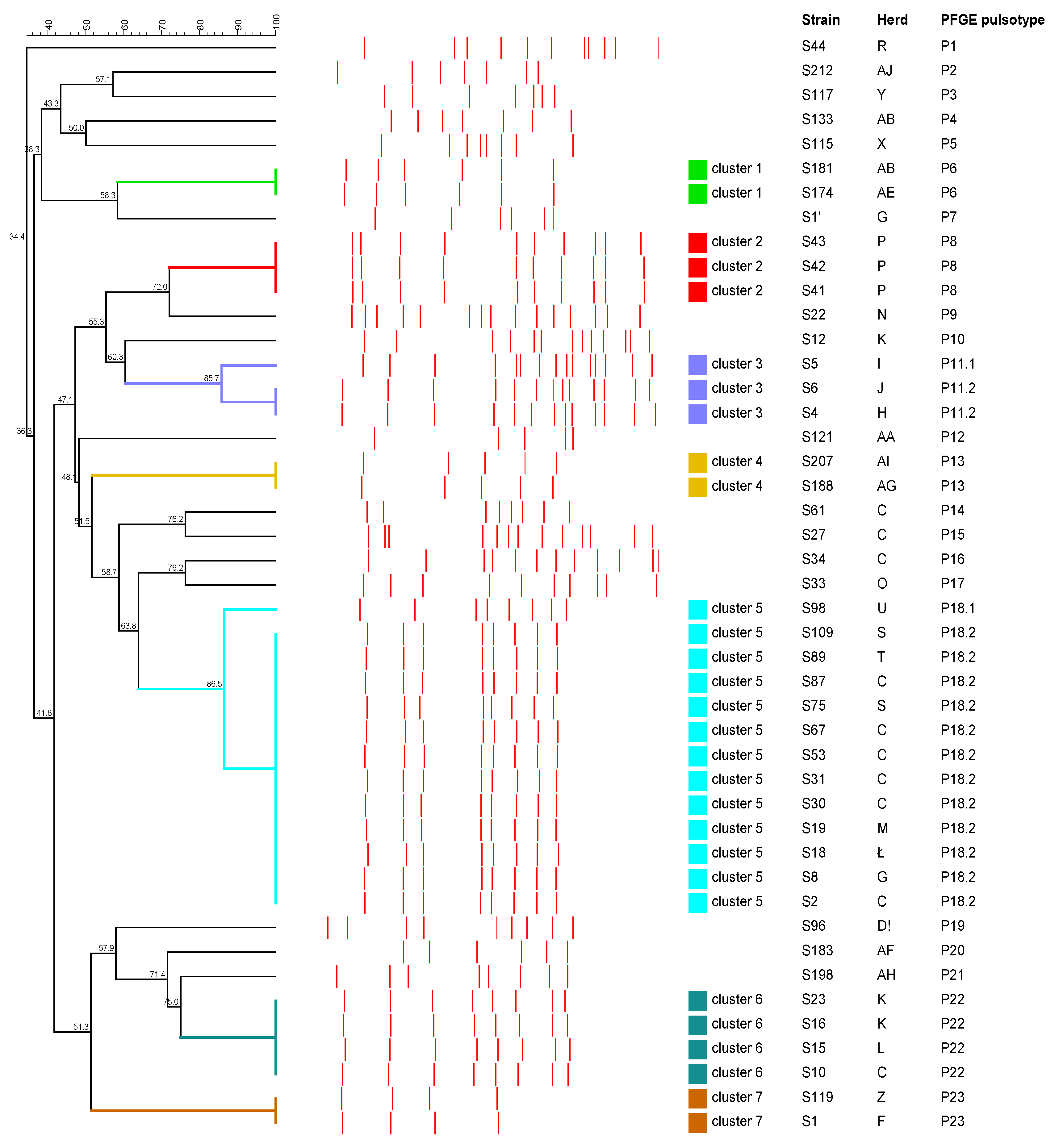 Antibiotics 12 01026 g002