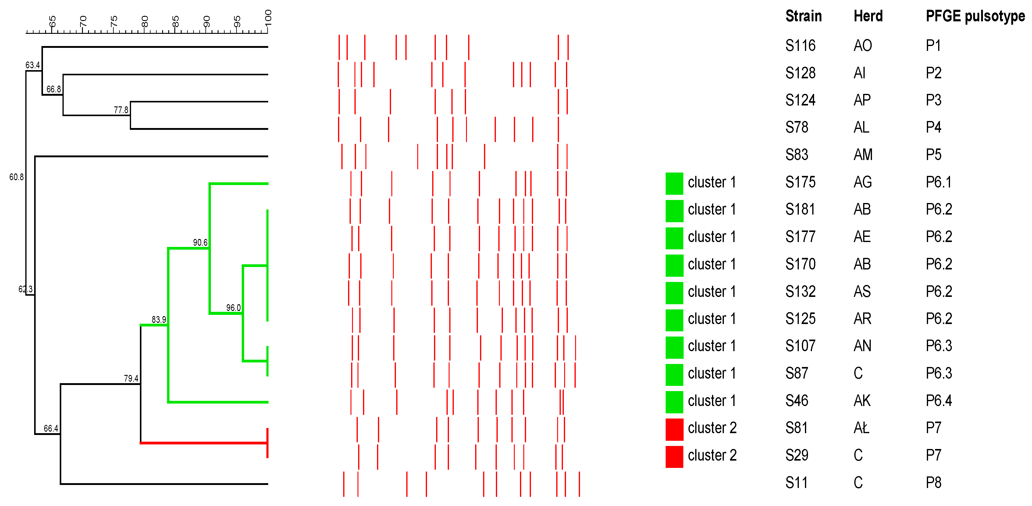 Antibiotics 12 01026 g003
