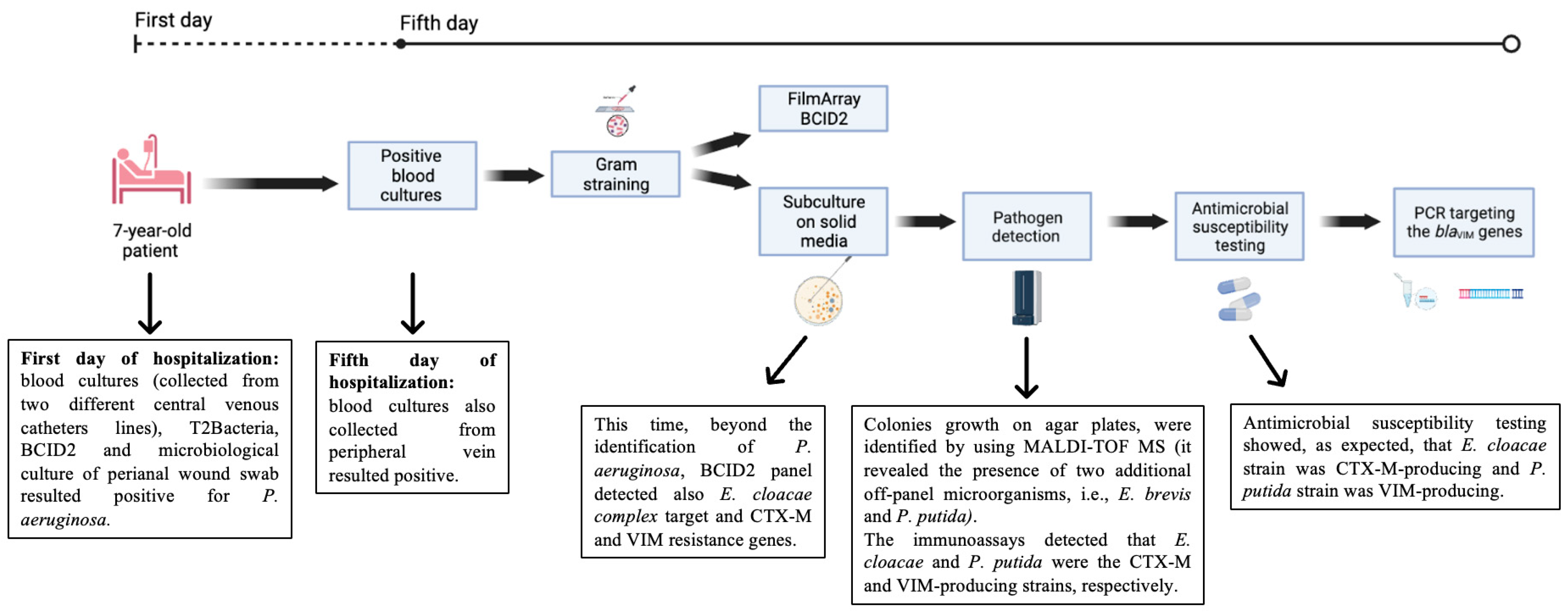 Antibiotics 12 01033 g002