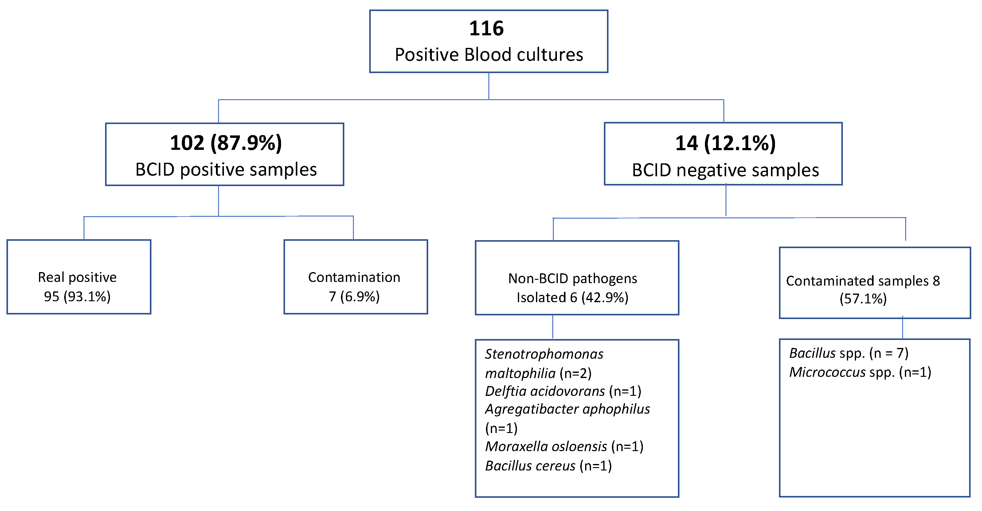 Antibiotics 12 01038 g001
