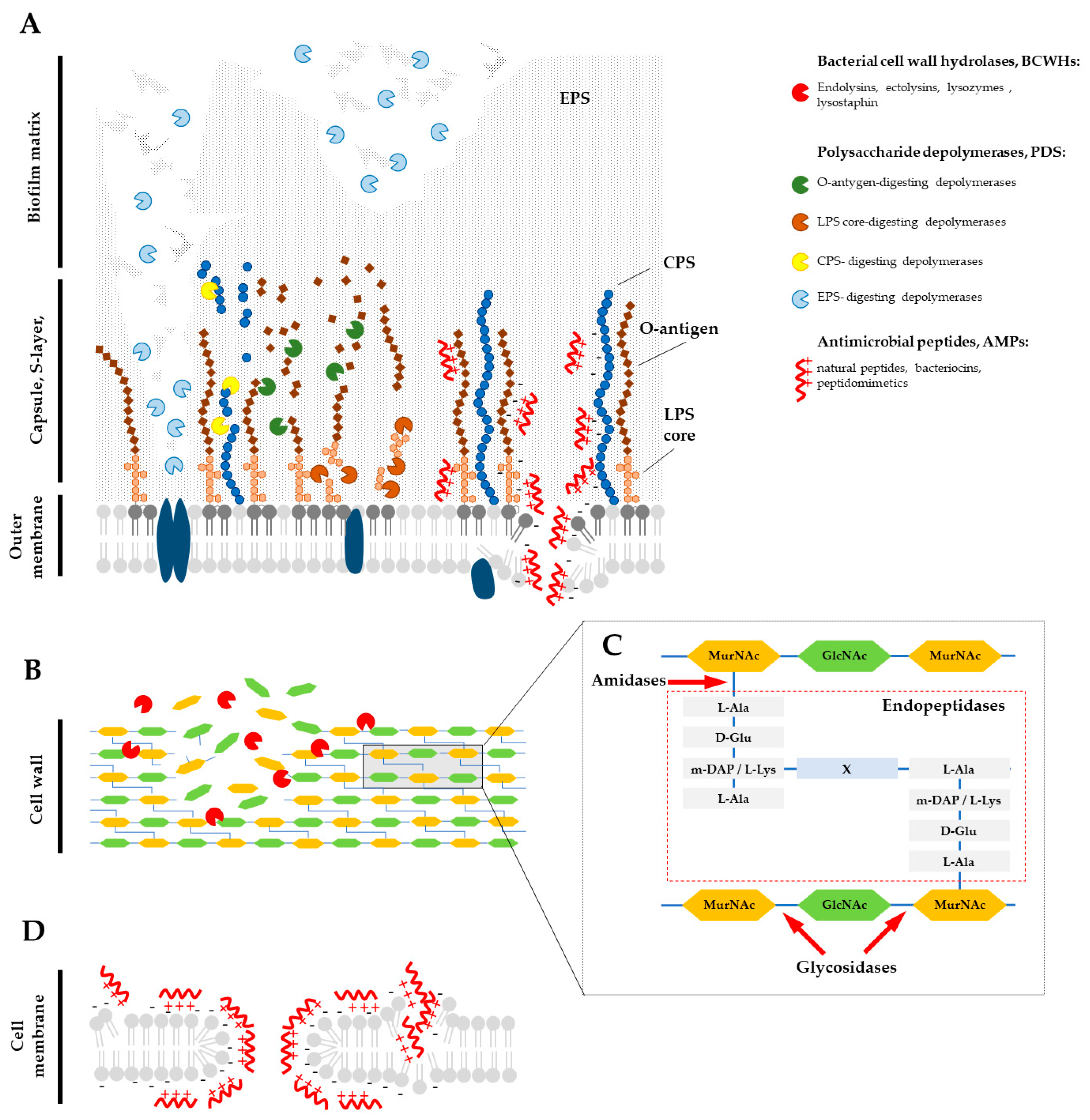 Antibiotics 12 01044 g004