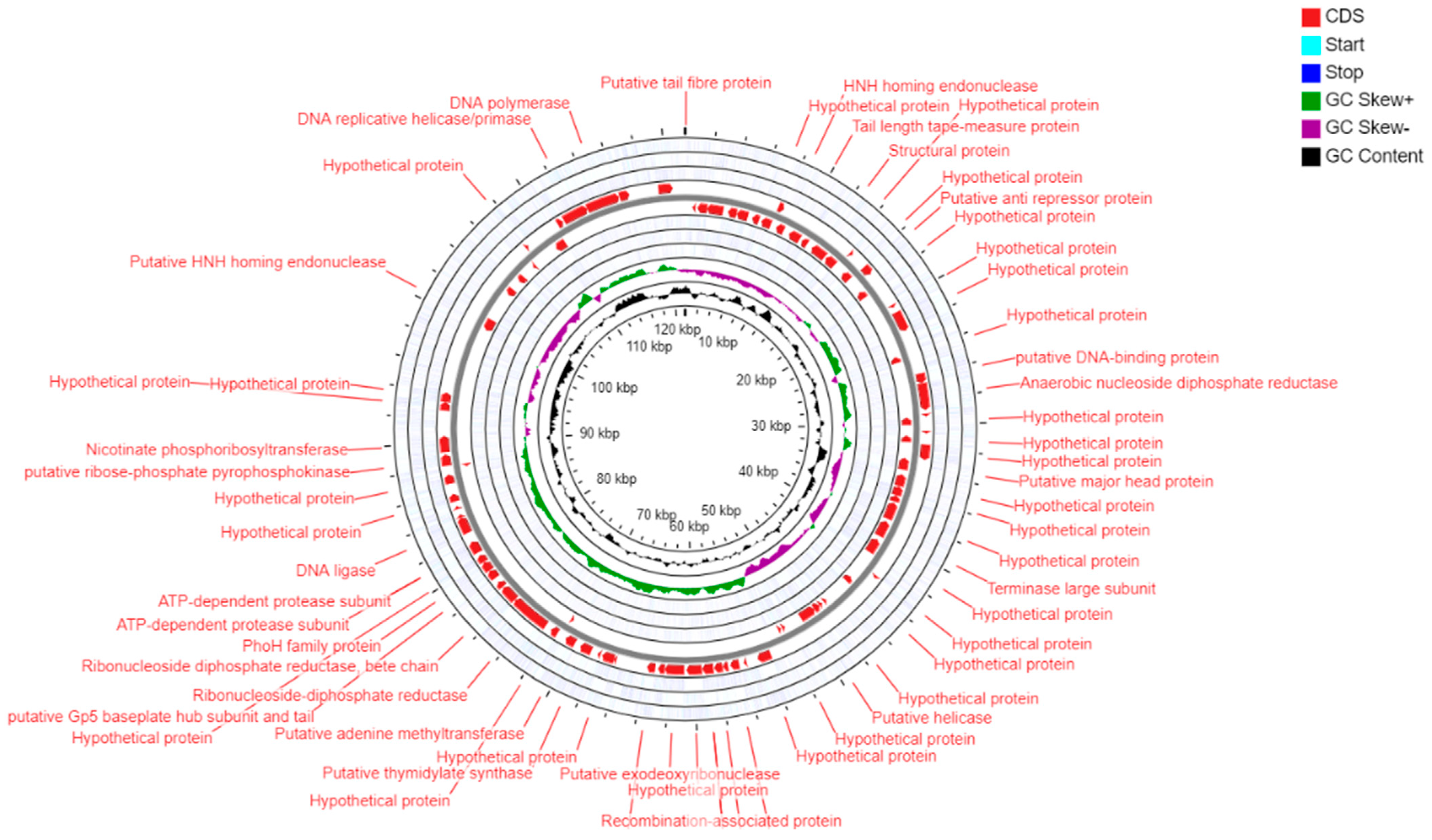 Antibiotics 12 01046 g004