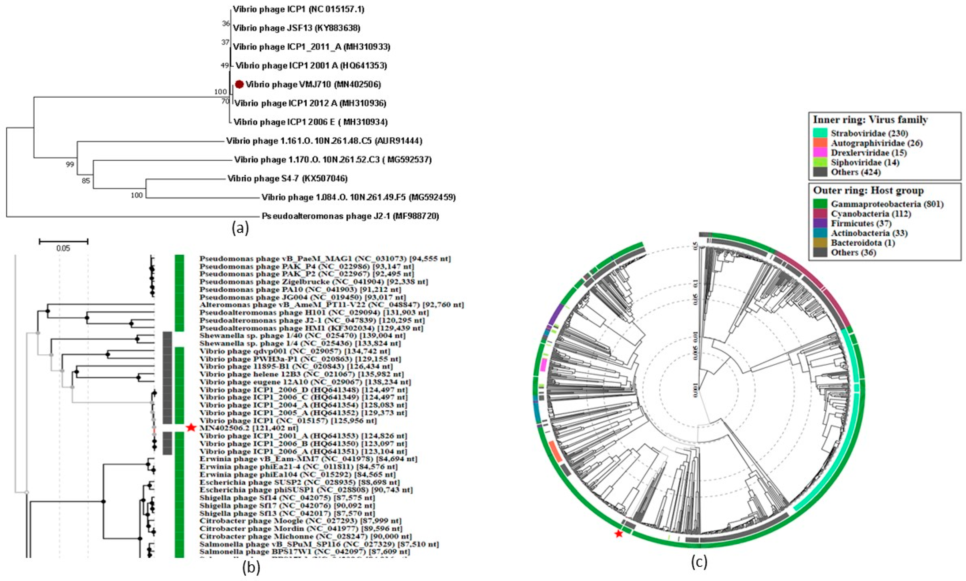 Antibiotics 12 01046 g005