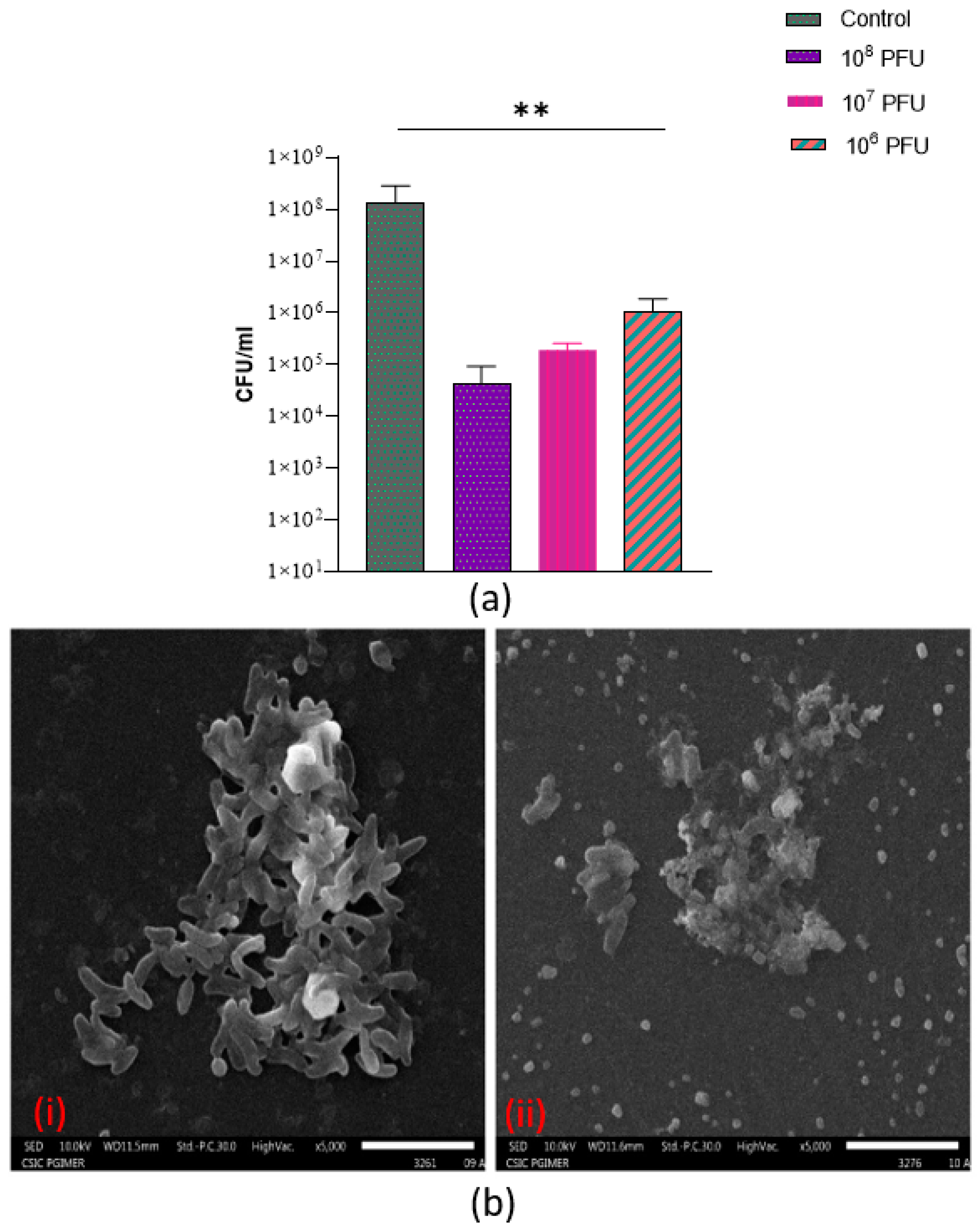 Antibiotics 12 01046 g009