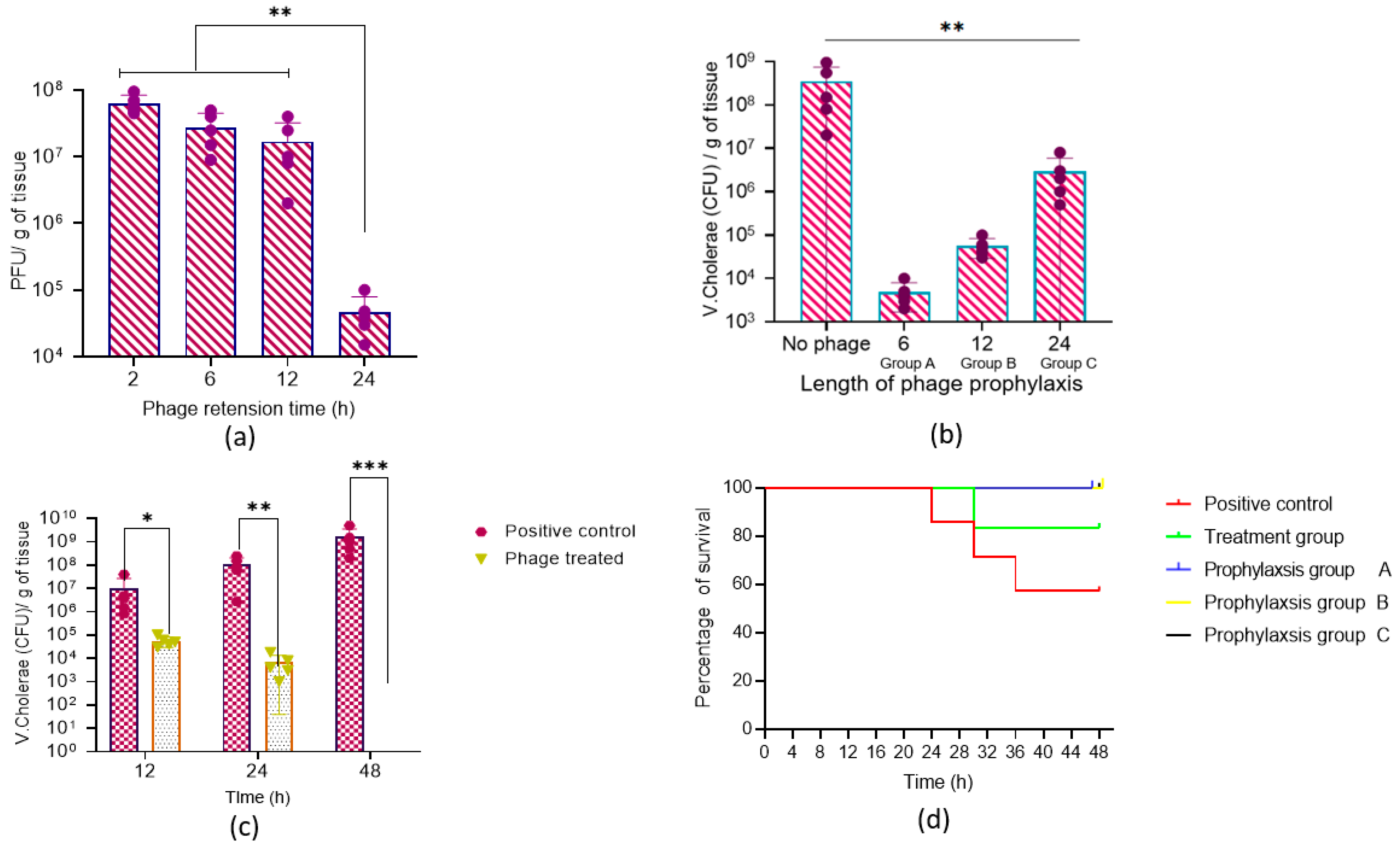Antibiotics 12 01046 g010