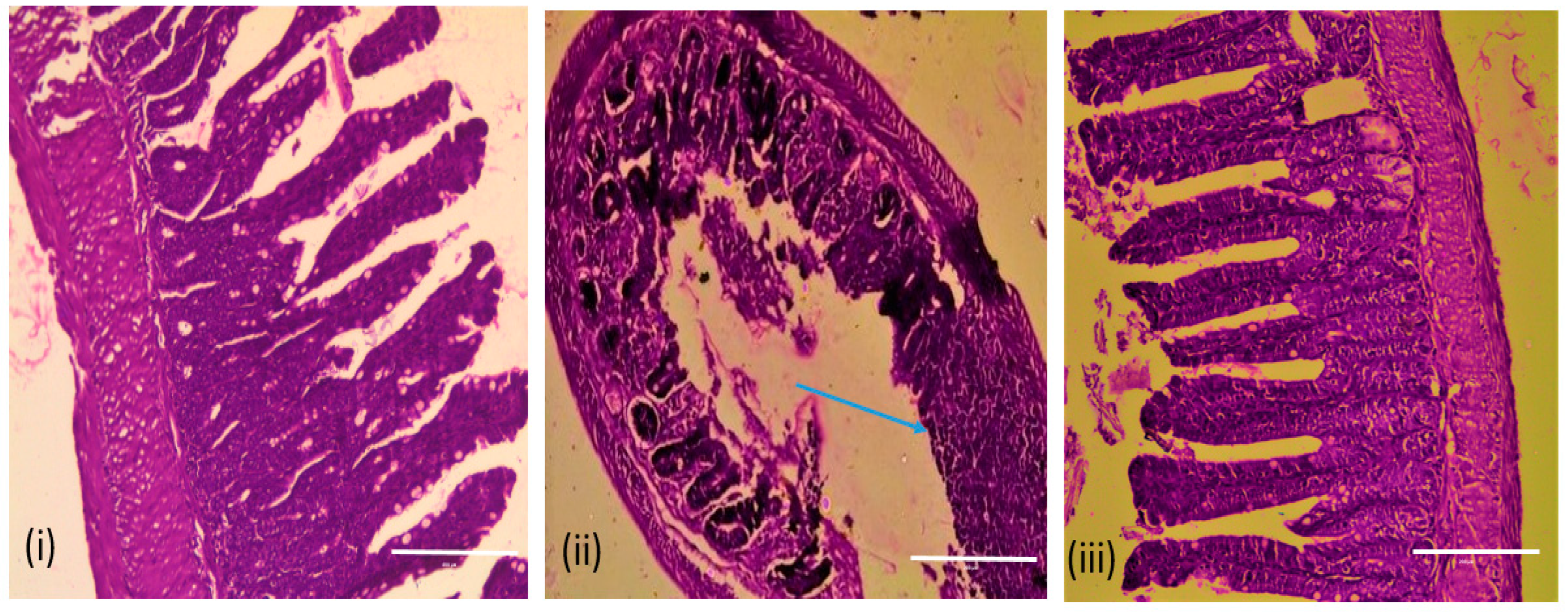 Antibiotics 12 01046 g011