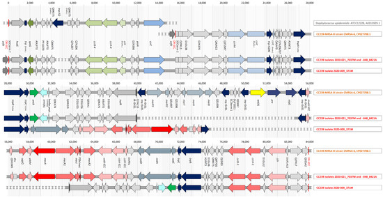 Antibiotics 12 01050 g002