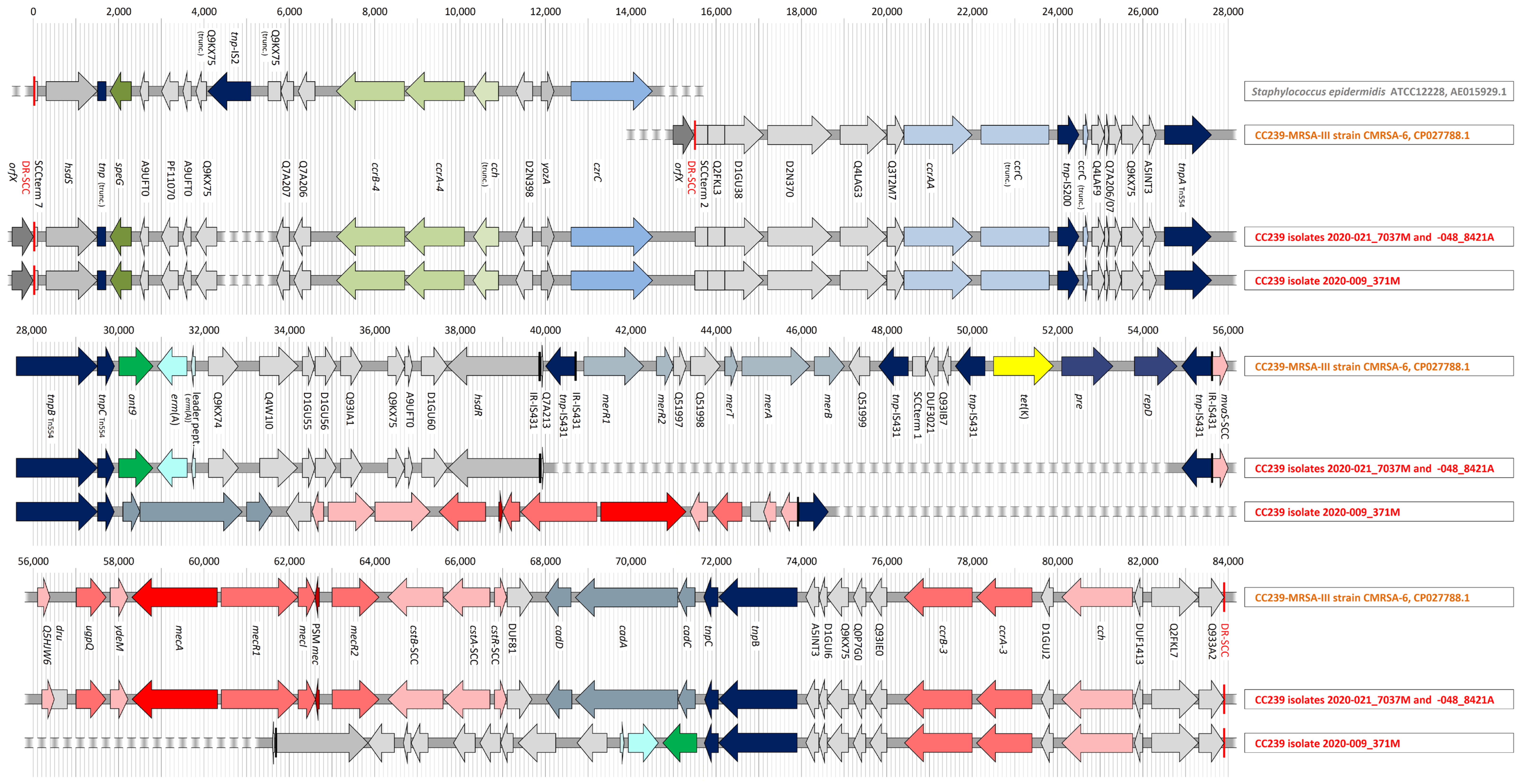 Antibiotics 12 01050 g002