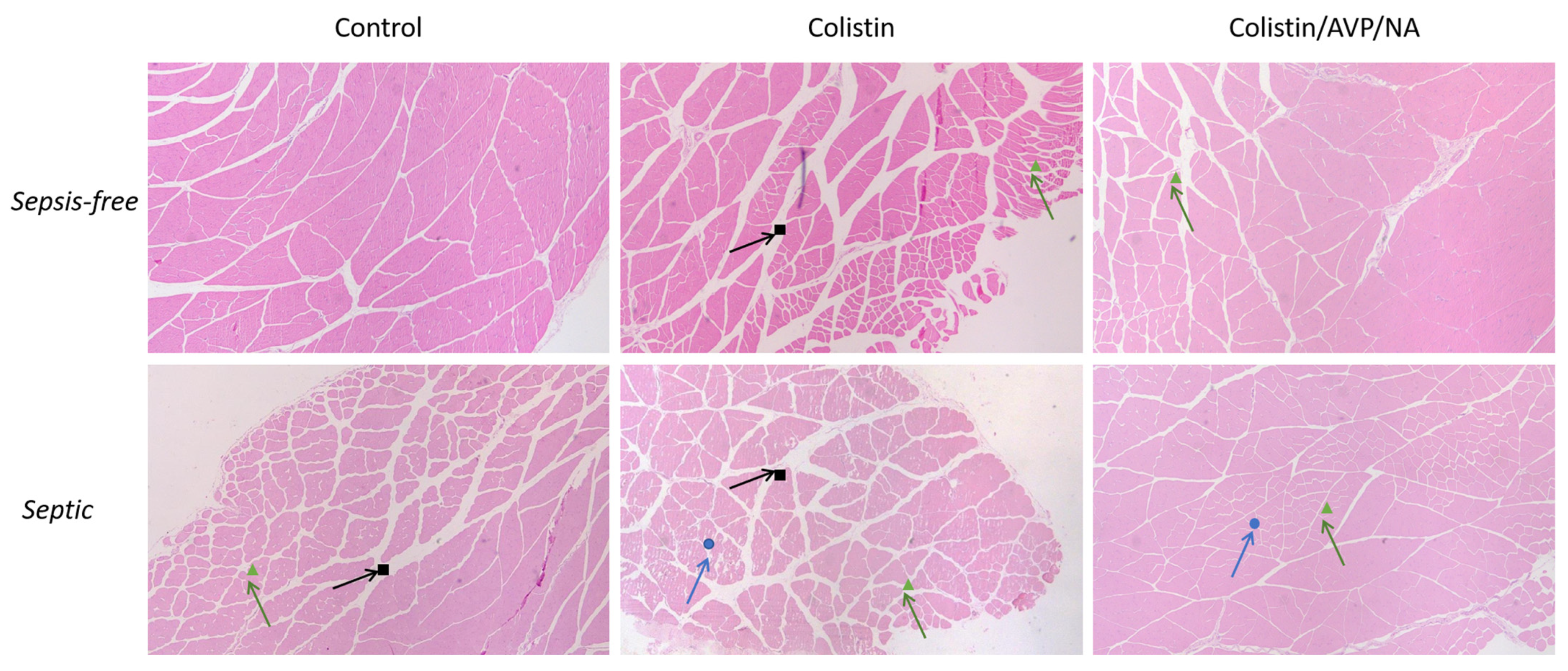 Antibiotics 12 01057 g002