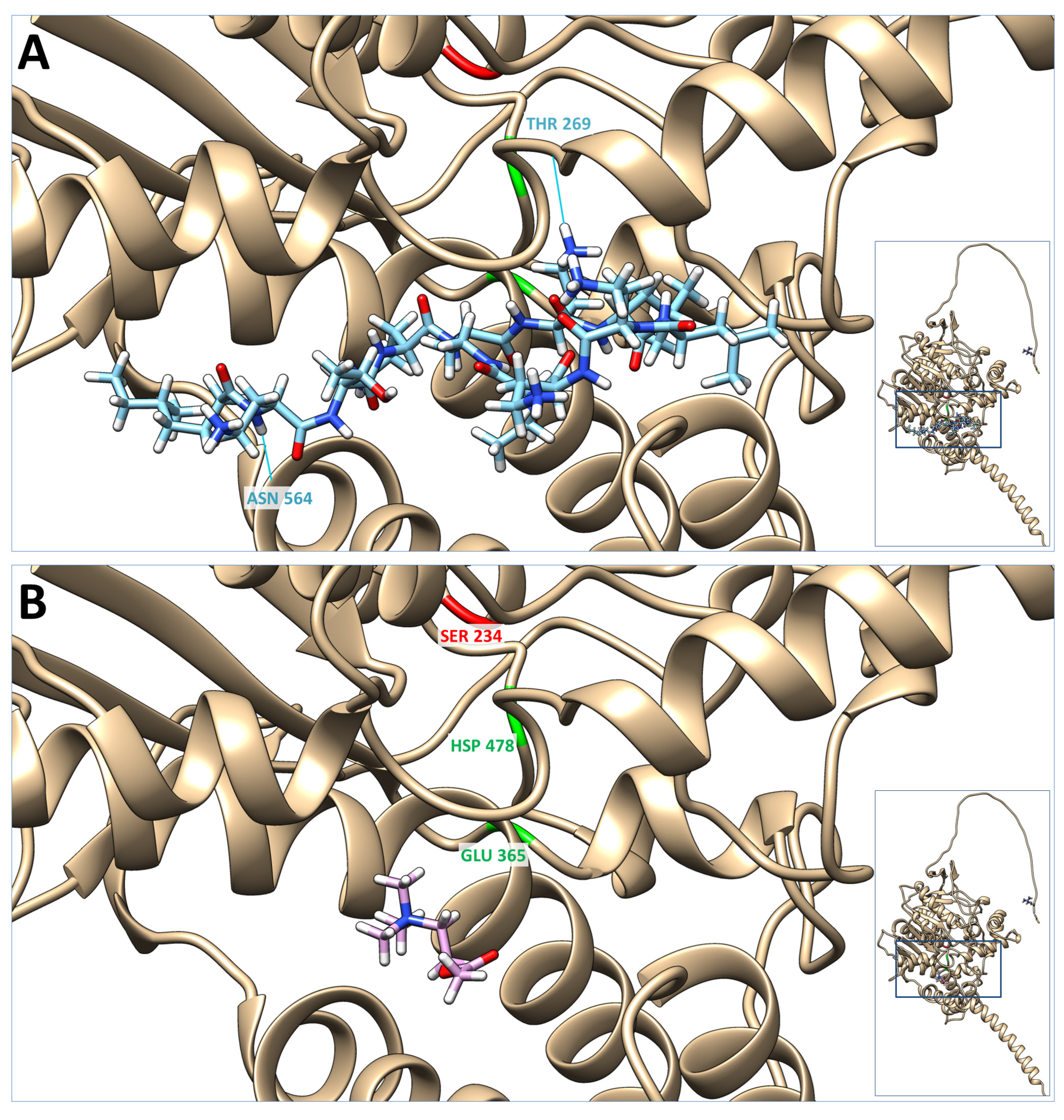 Antibiotics 12 01057 g004