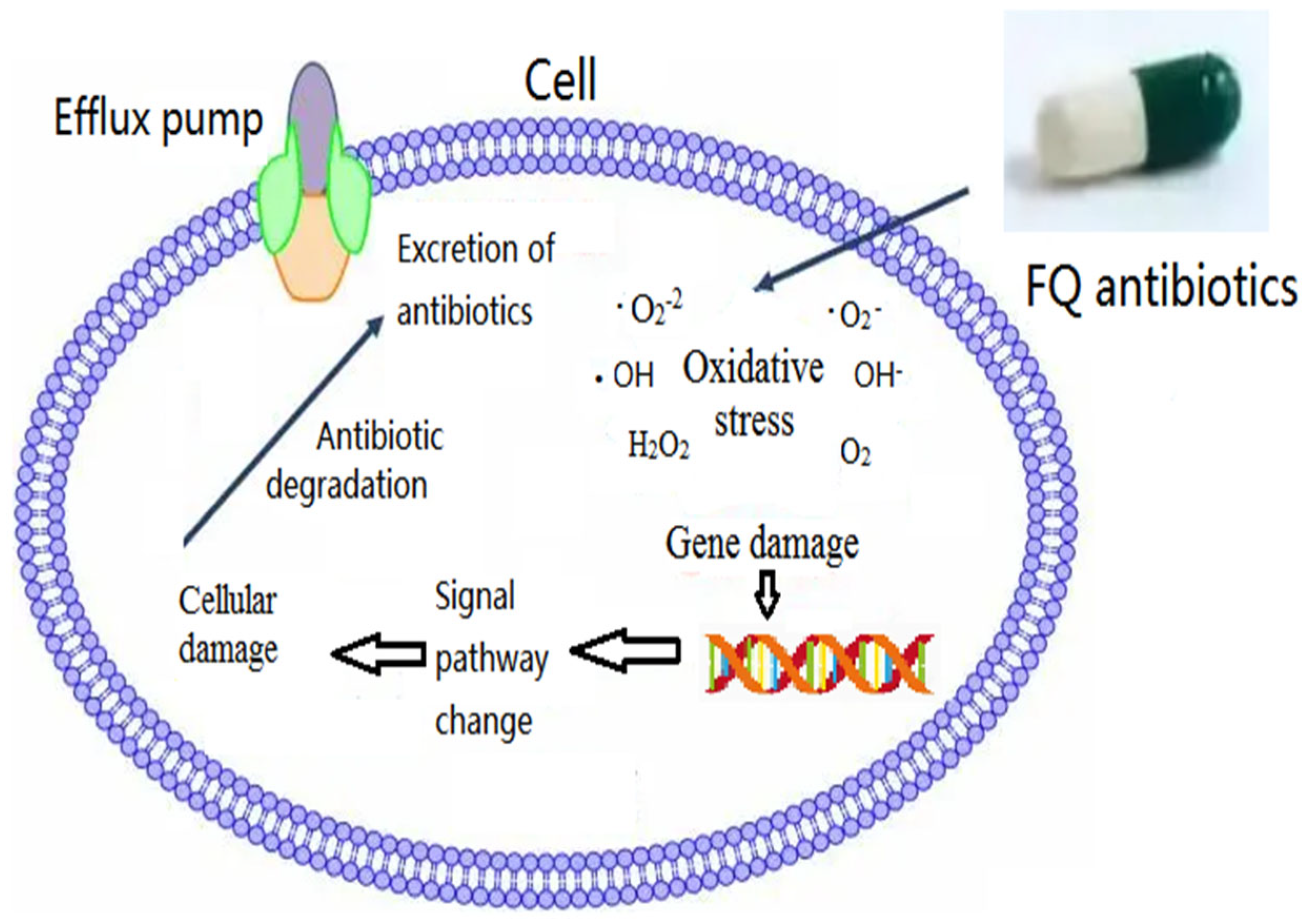 Antibiotics 12 01058 g002 Antibiotics 12 01058 g002