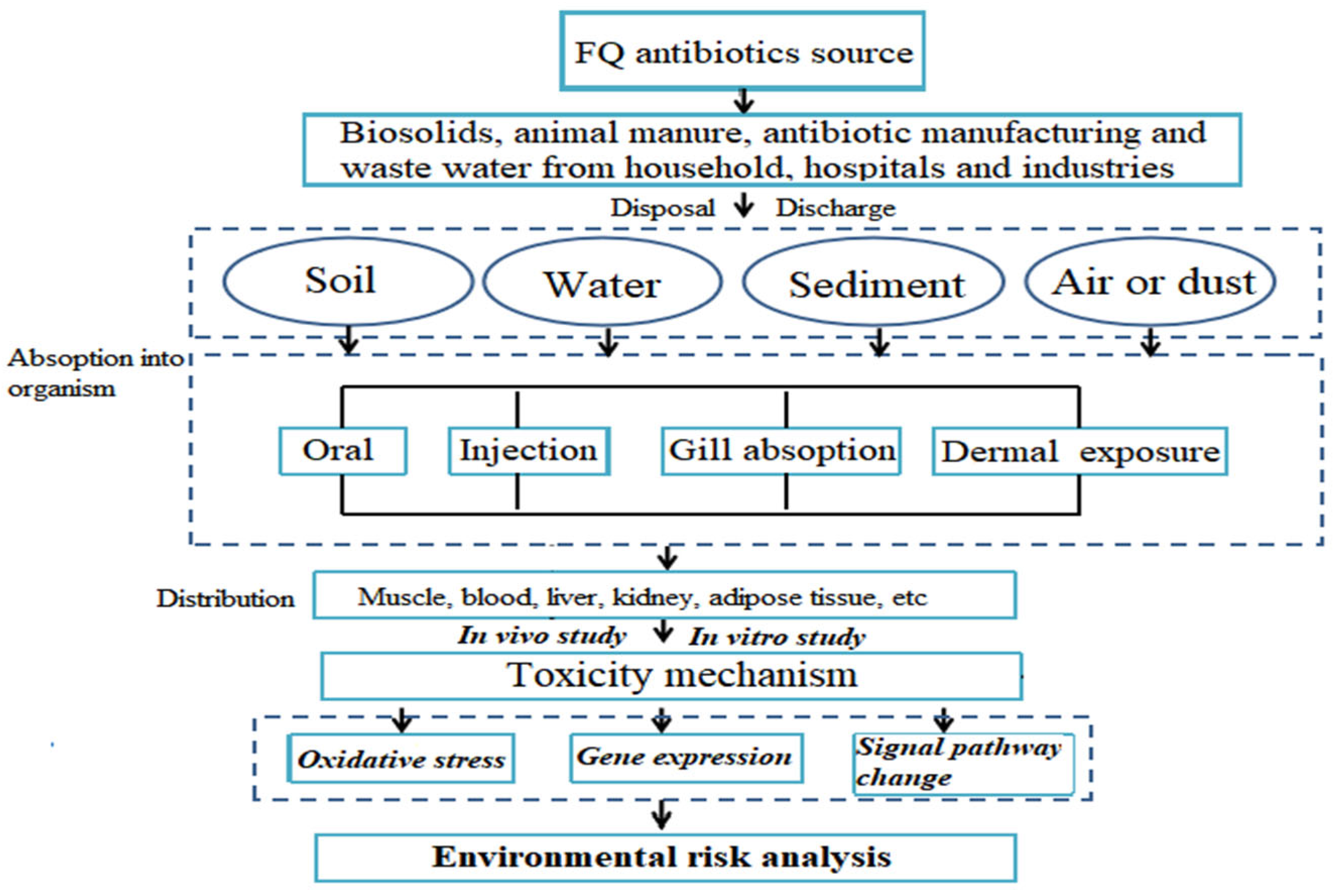 Antibiotics 12 01058 g003 Antibiotics 12 01058 g003