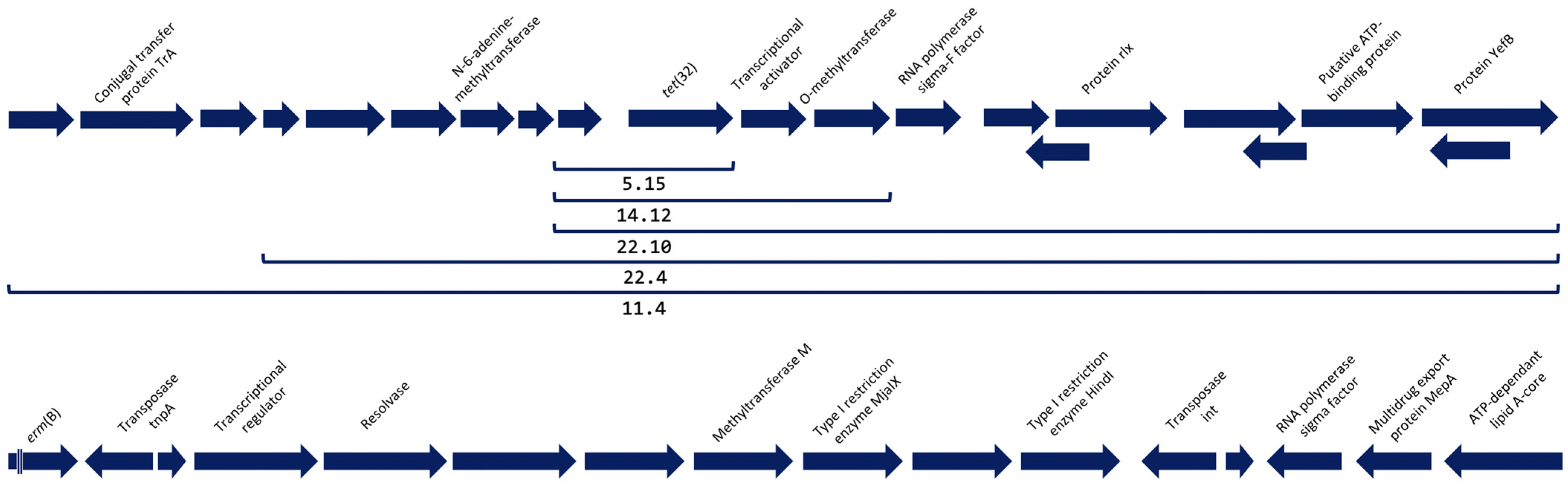 Antibiotics 12 01059 g001