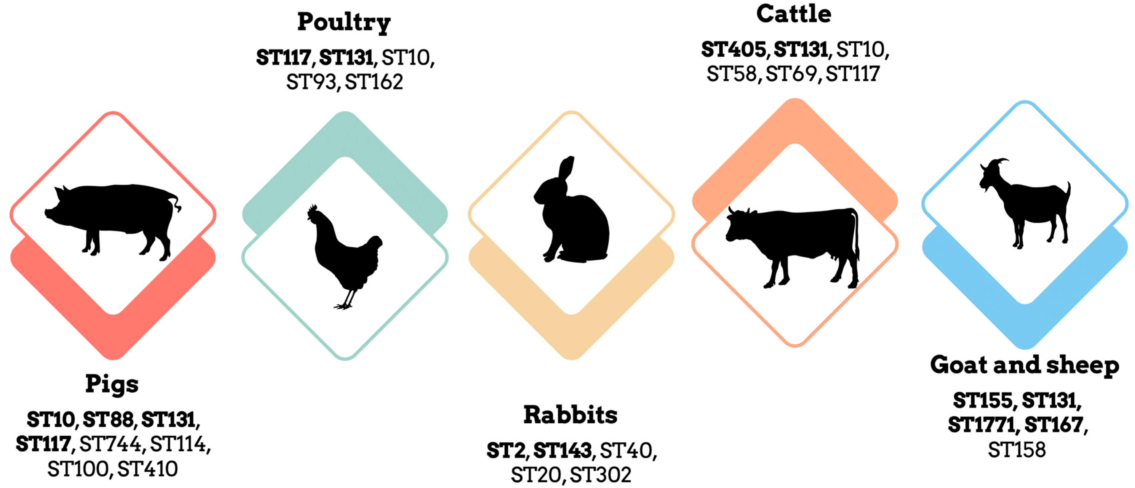 Antibiotics 12 01061 g002