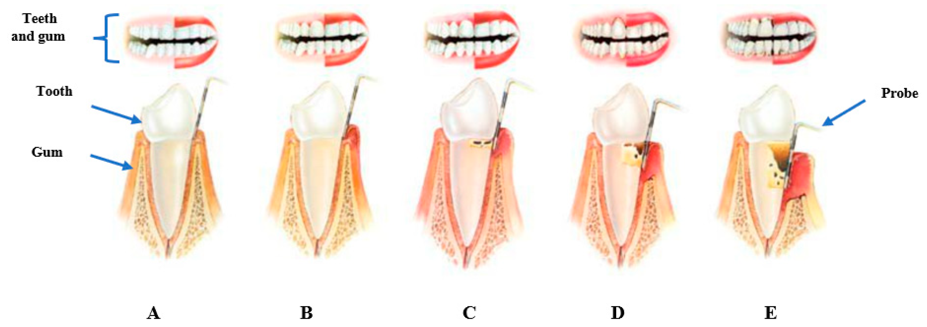 Antibiotics 12 01073 g001 Antibiotics 12 01073 g001
