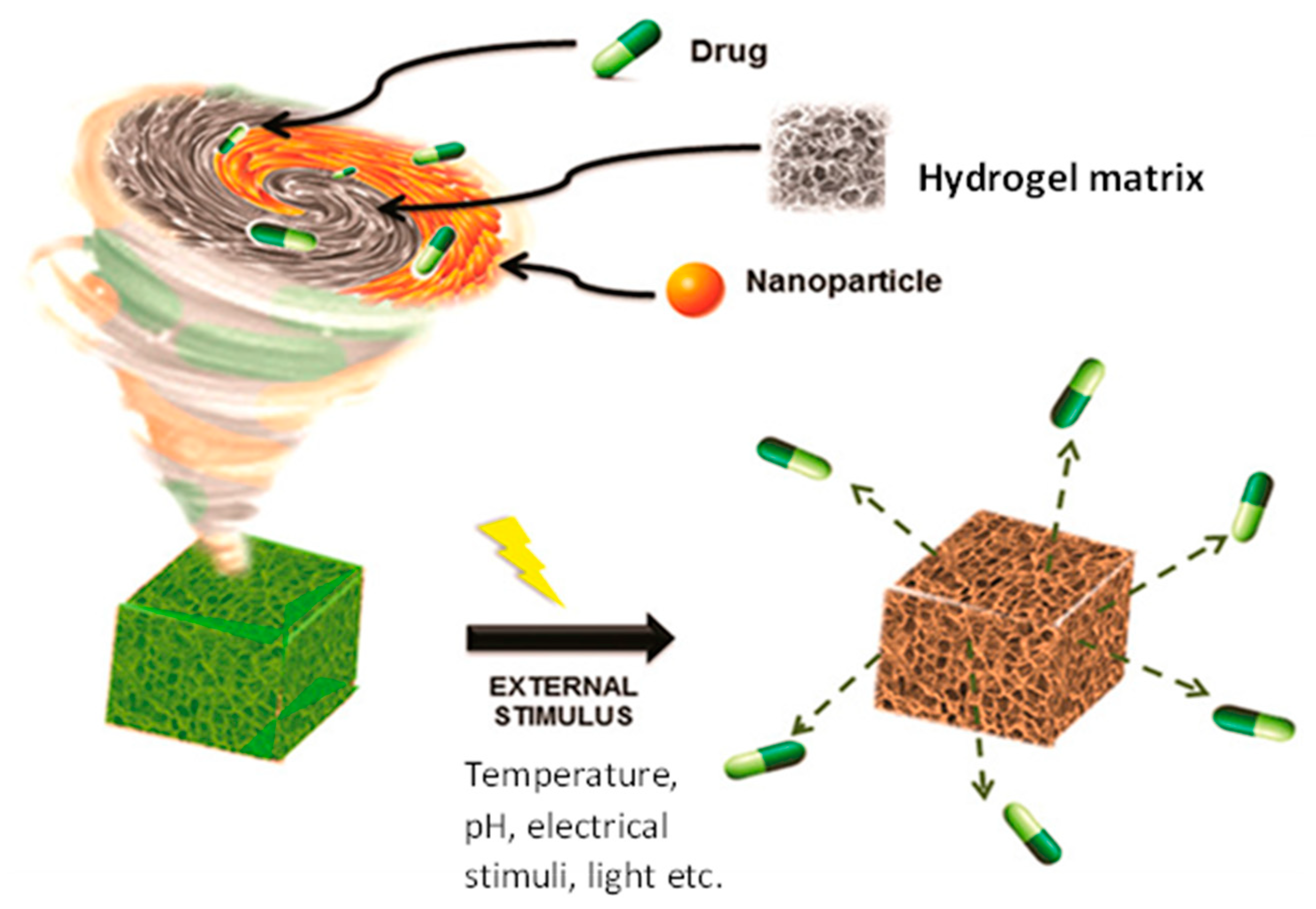 Antibiotics 12 01073 g003 Antibiotics 12 01073 g003