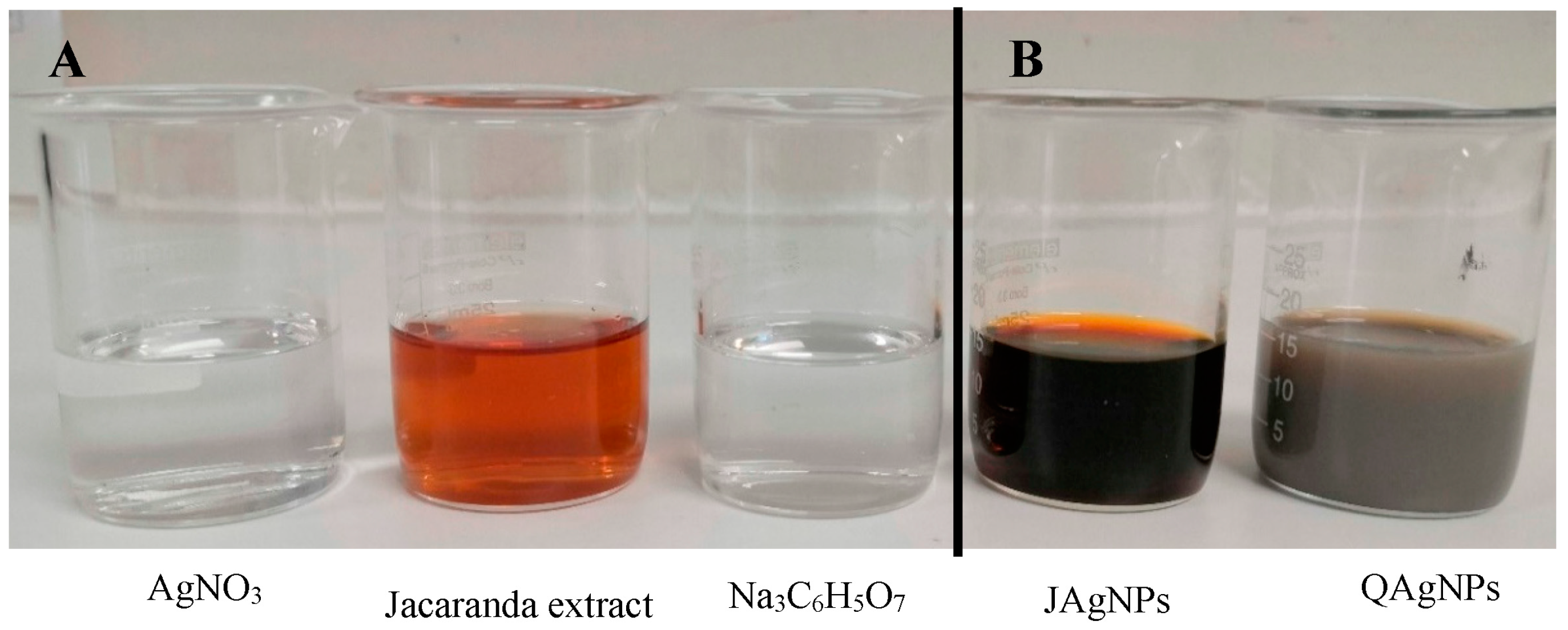 Antibiotics 12 01084 g001