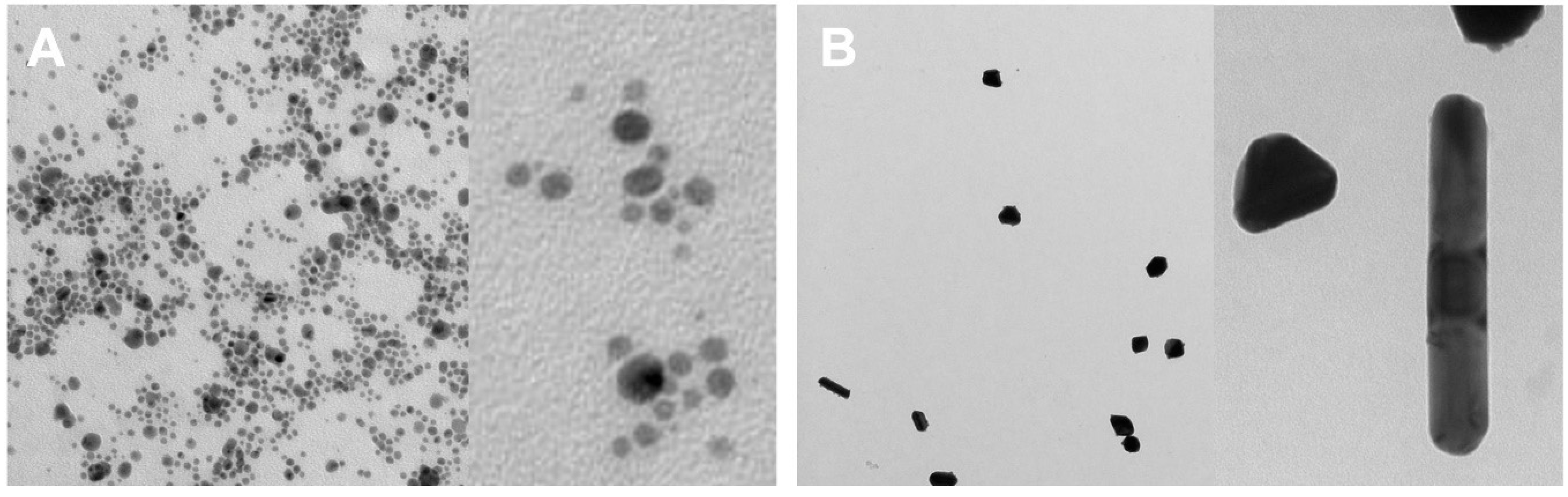 Antibiotics 12 01084 g008
