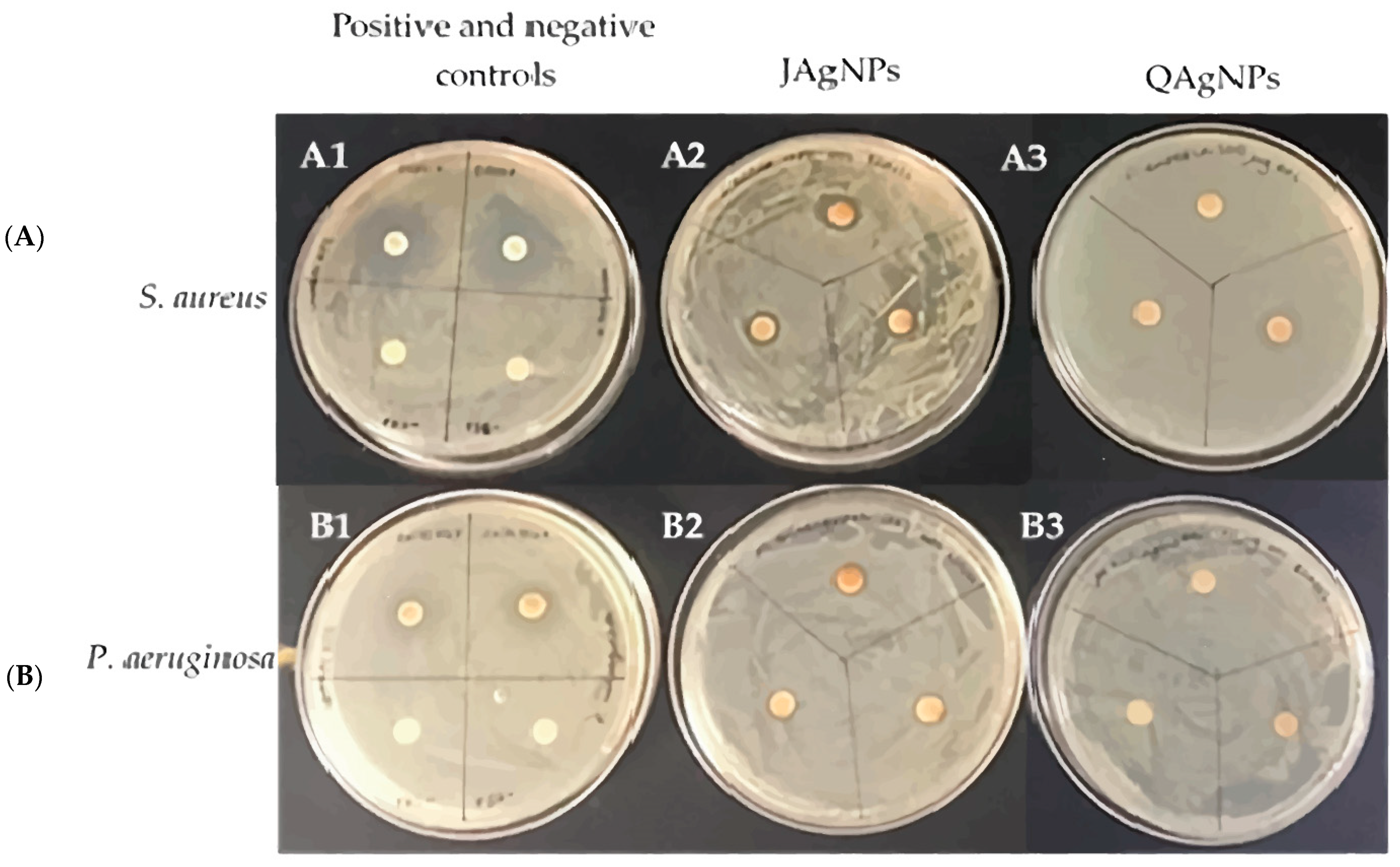 Antibiotics 12 01084 g009