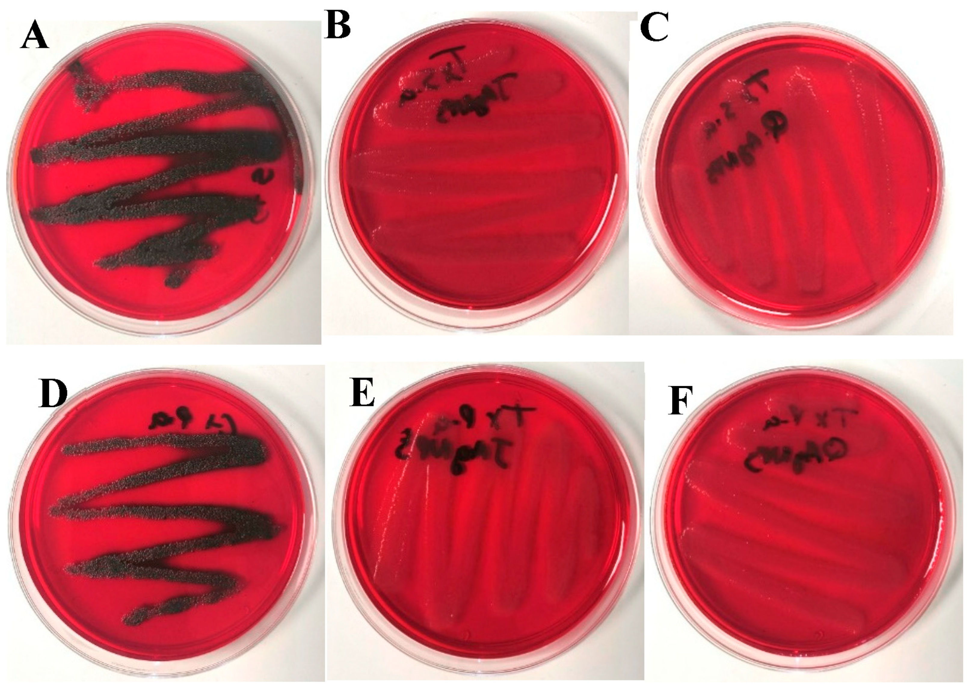Antibiotics 12 01084 g010