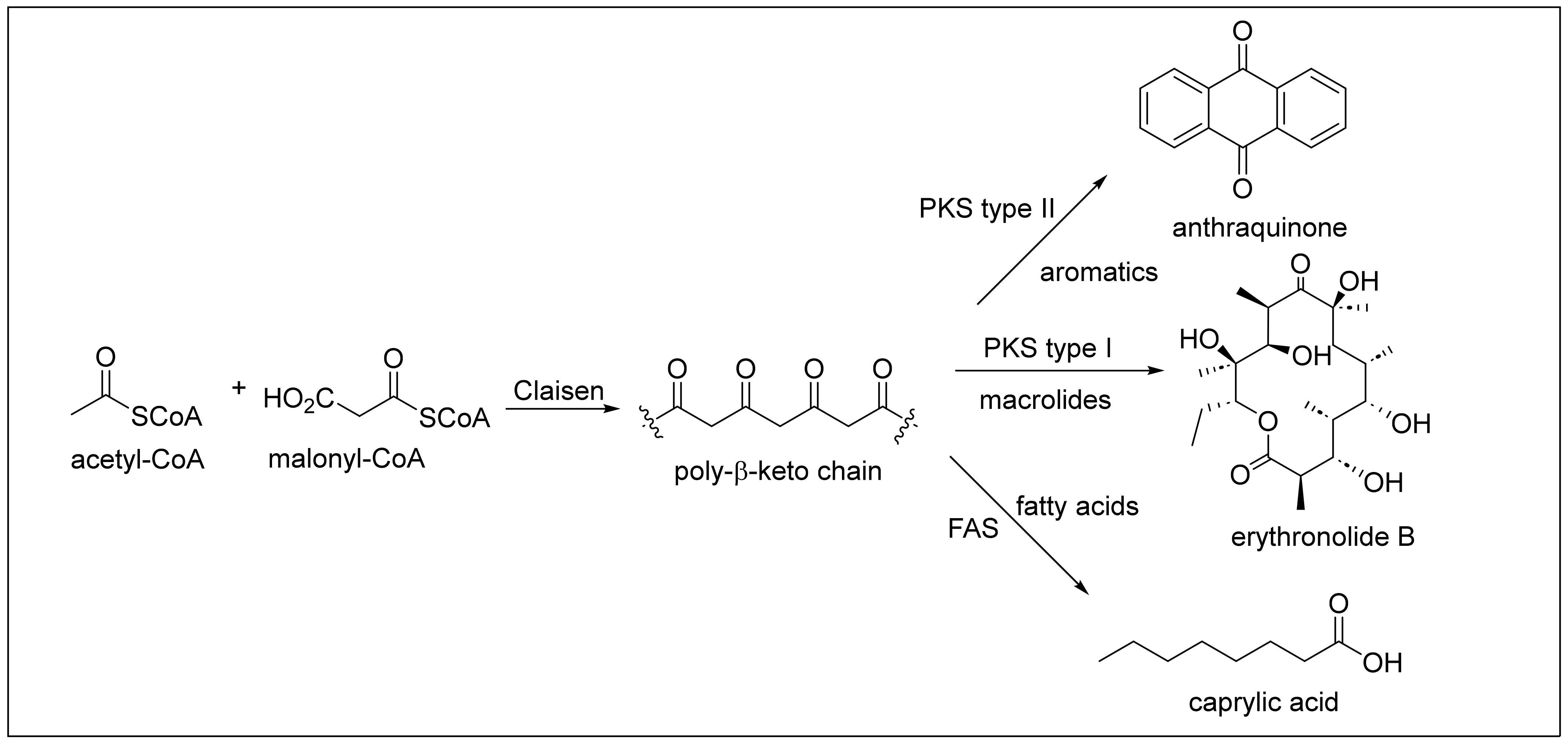 Antibiotics 12 01087 g002 Antibiotics 12 01087 g002