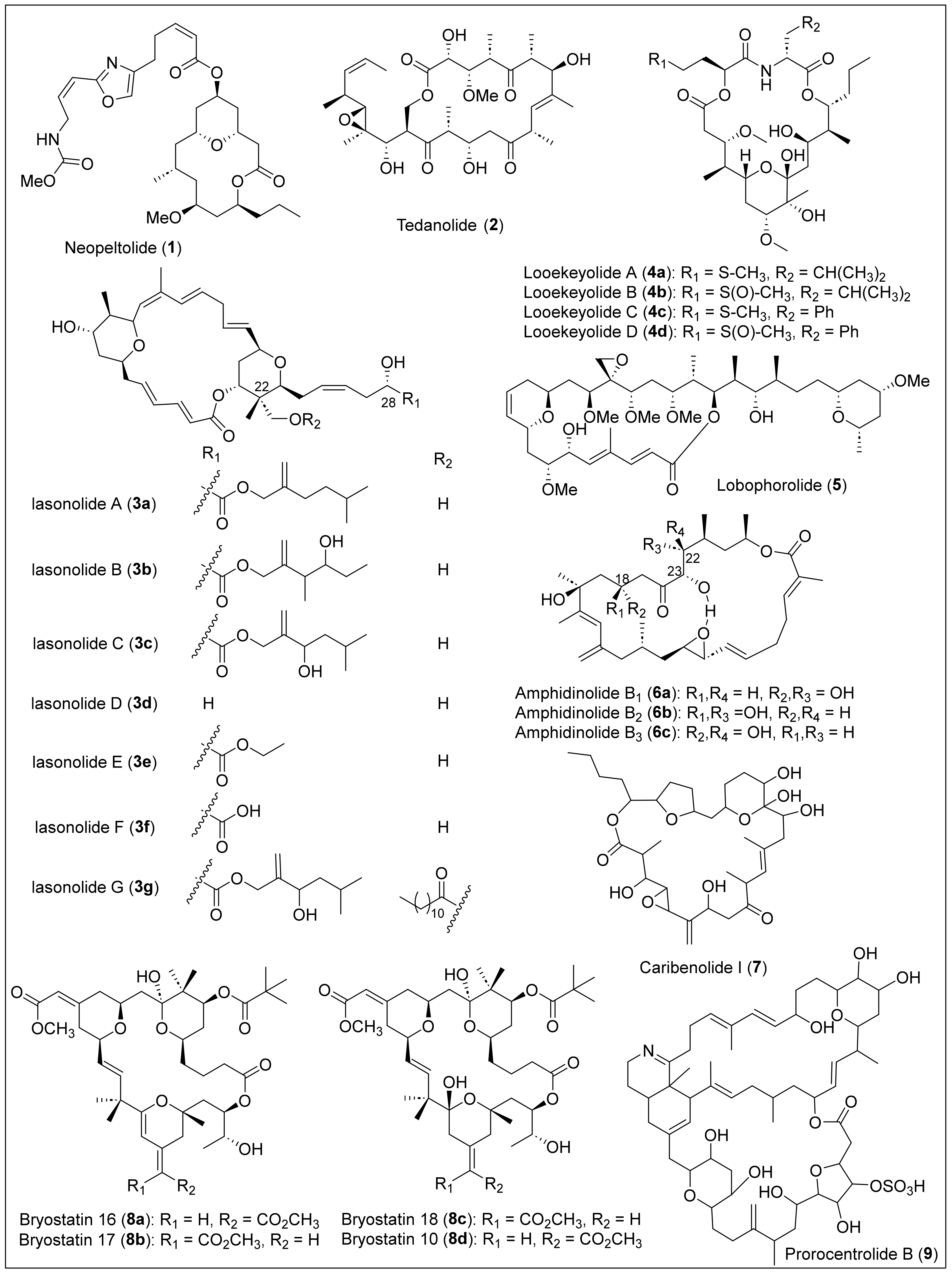 Antibiotics 12 01087 g003 Antibiotics 12 01087 g003