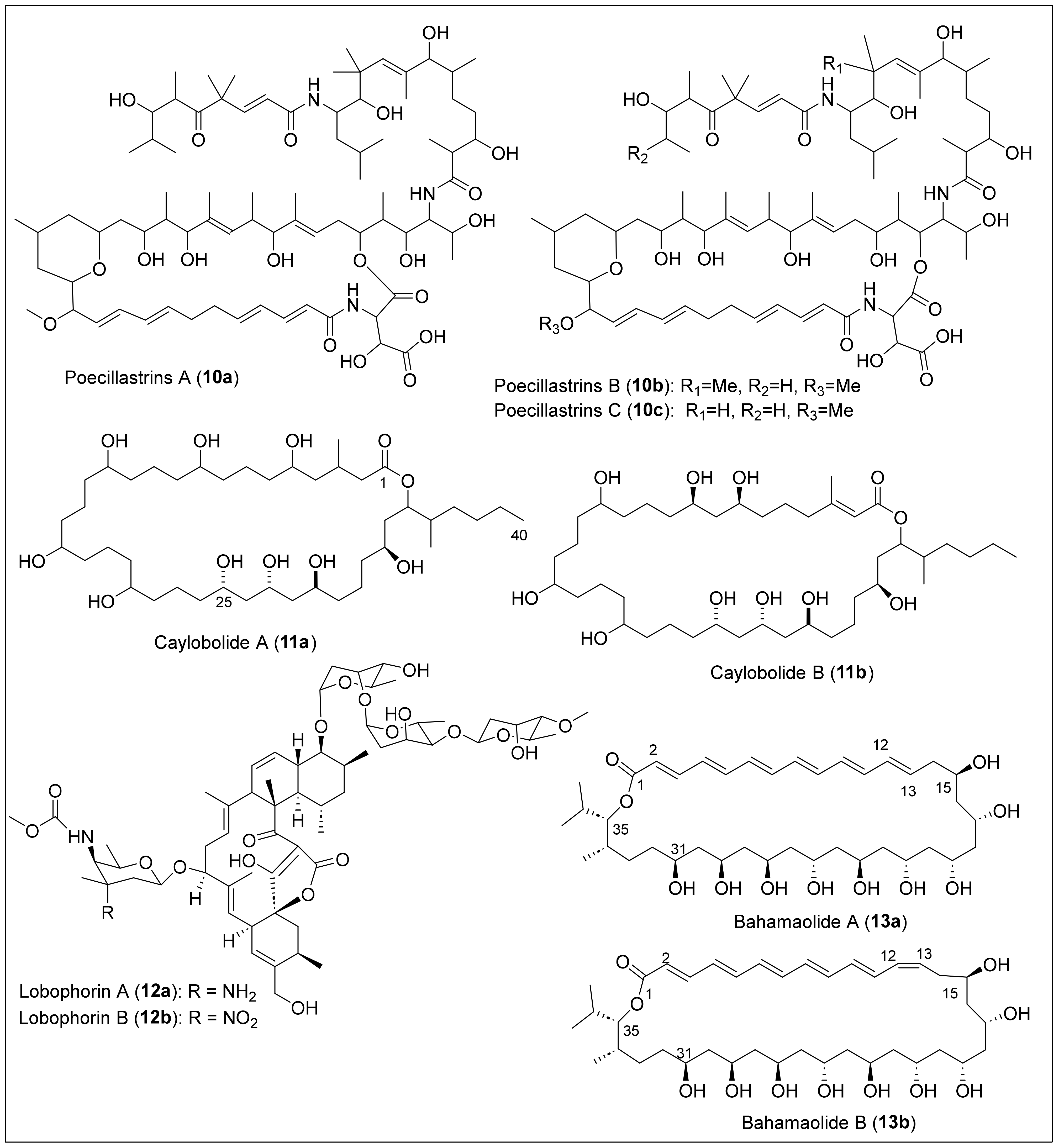 Antibiotics 12 01087 g004 Antibiotics 12 01087 g004