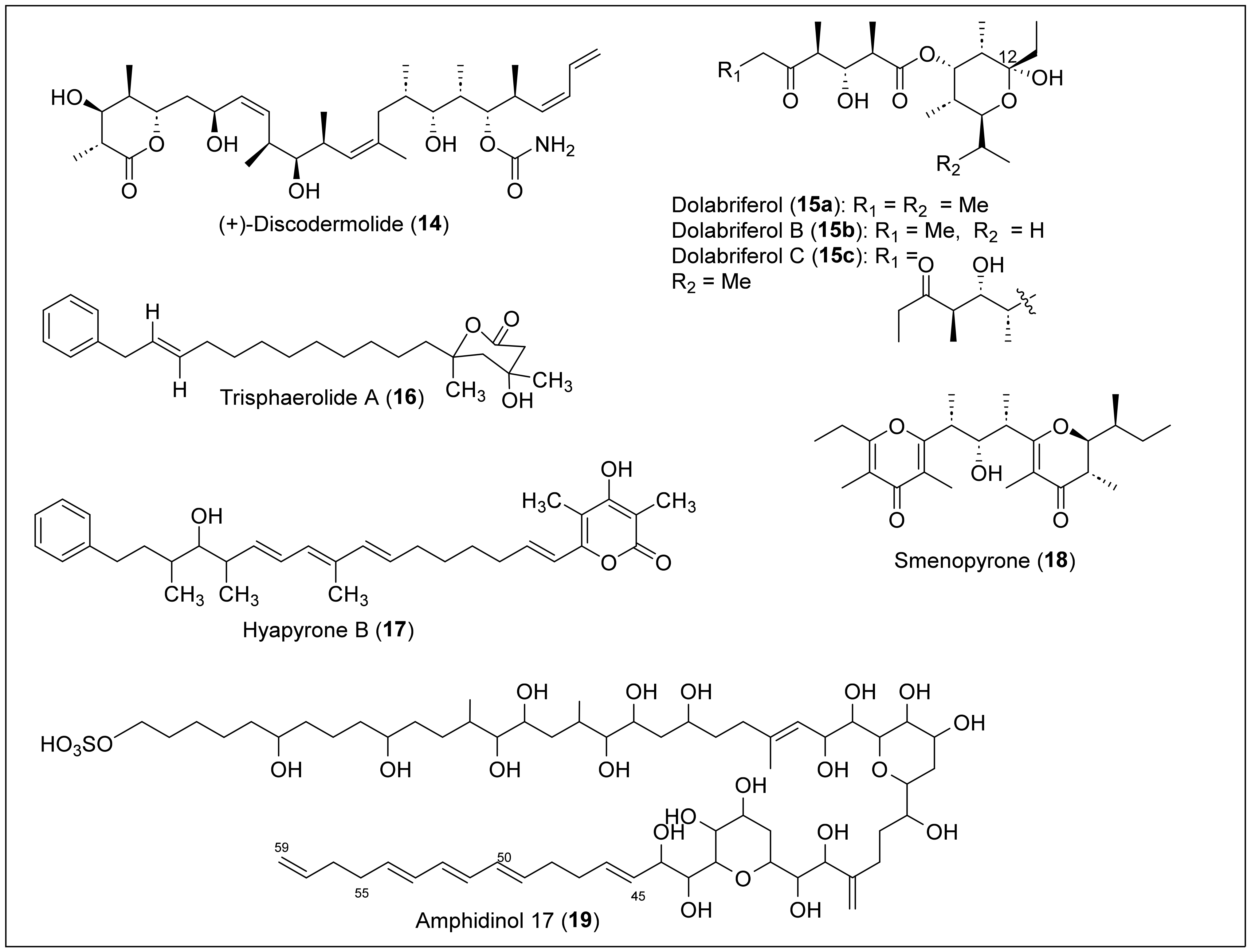 Antibiotics 12 01087 g005 Antibiotics 12 01087 g005