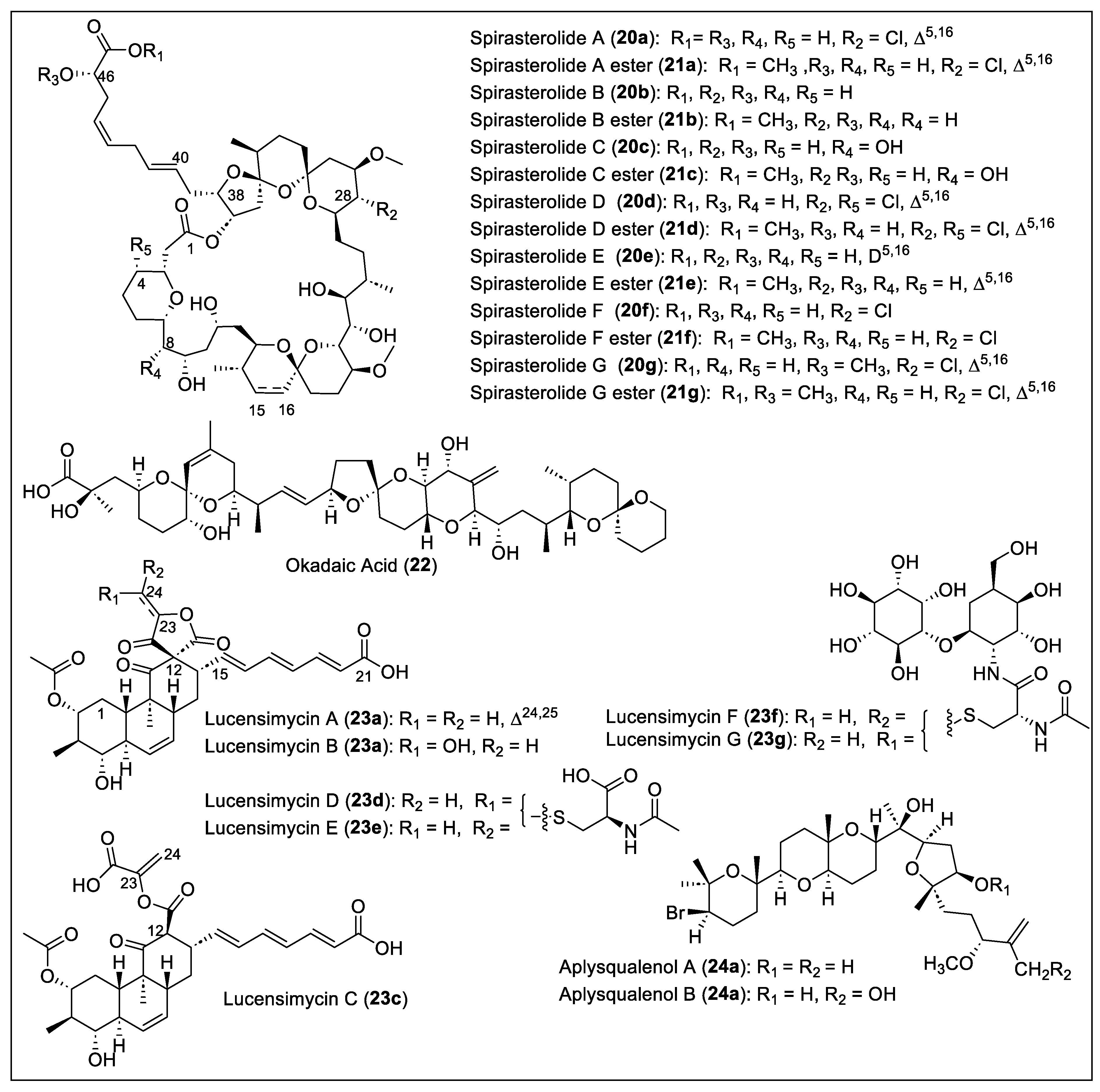 Antibiotics 12 01087 g006 Antibiotics 12 01087 g006