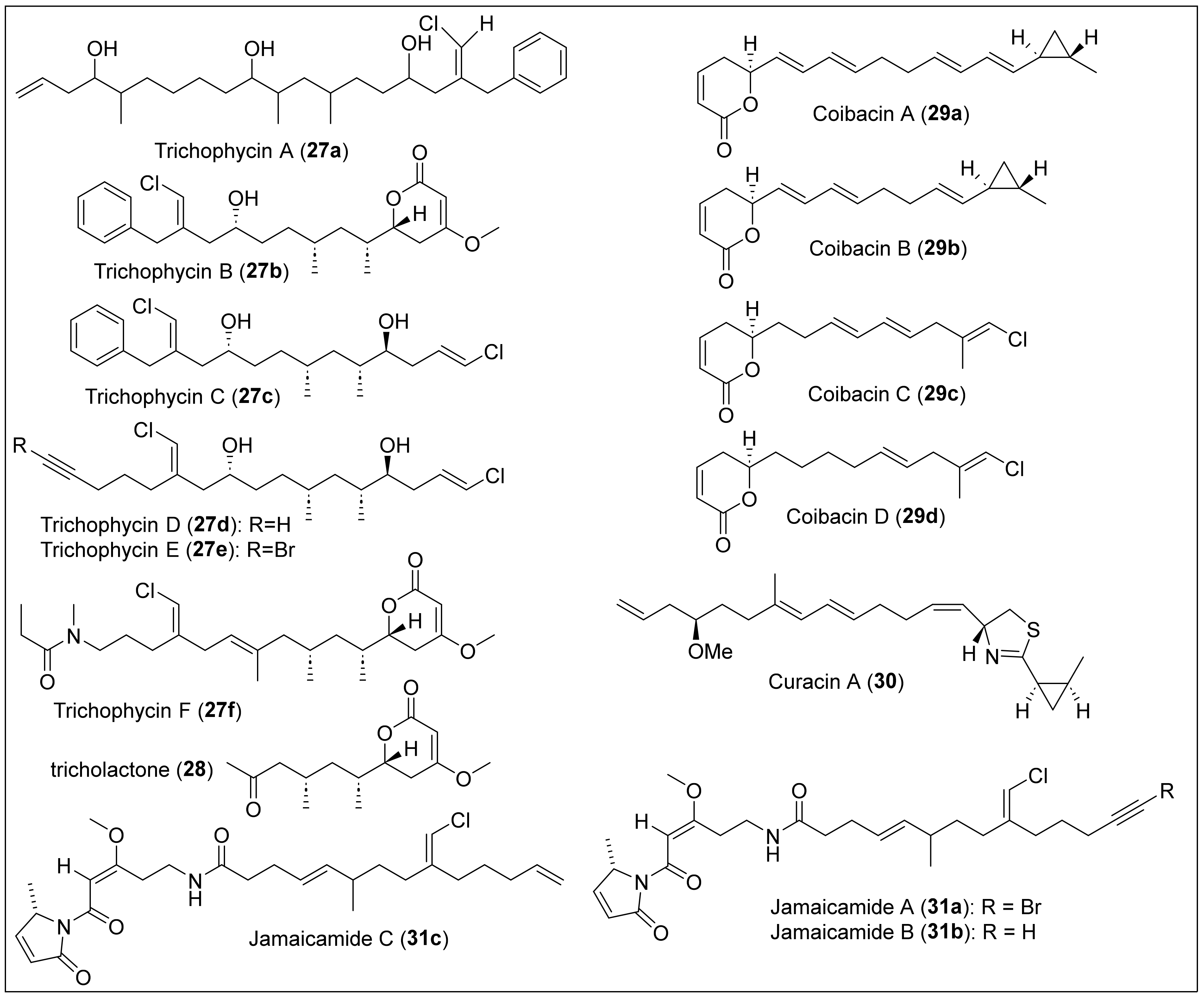 Antibiotics 12 01087 g008 Antibiotics 12 01087 g008