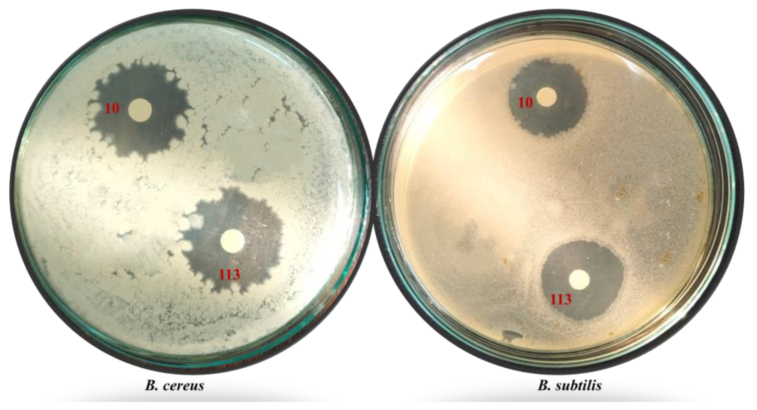 Antibiotics 12 01095 g001