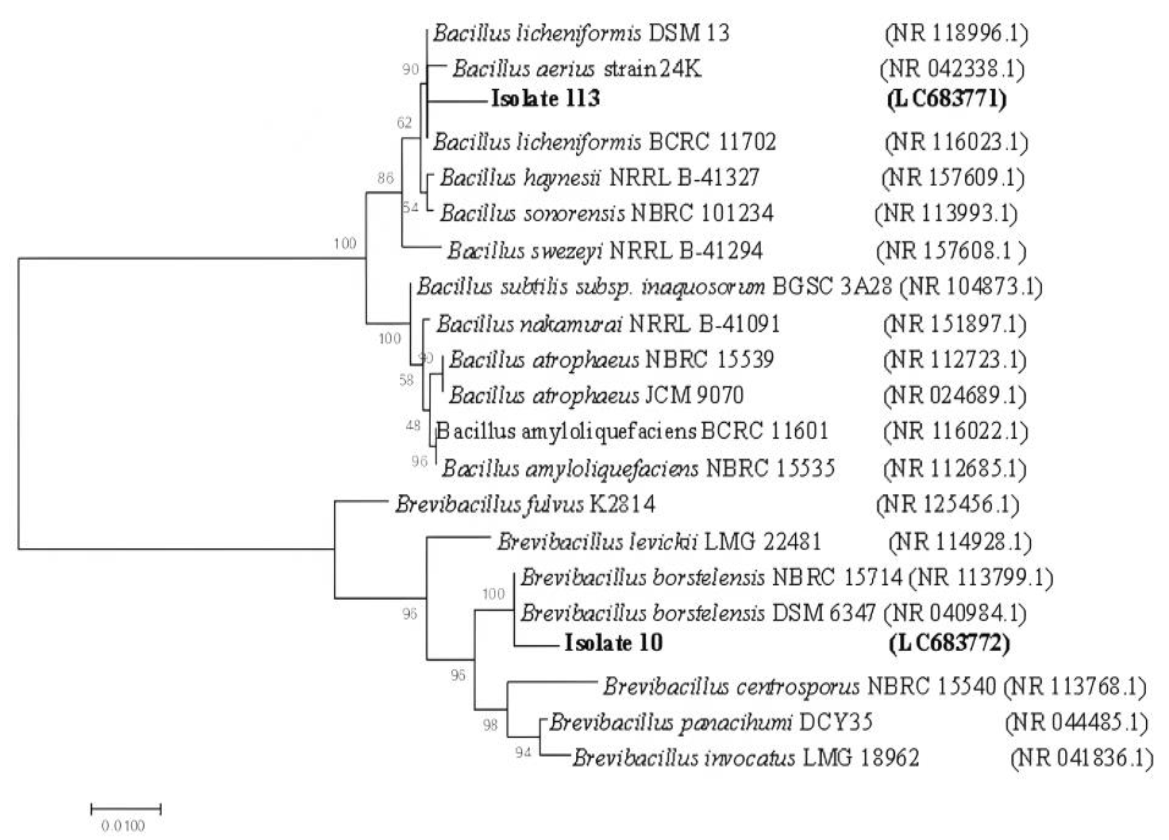 Antibiotics 12 01095 g002